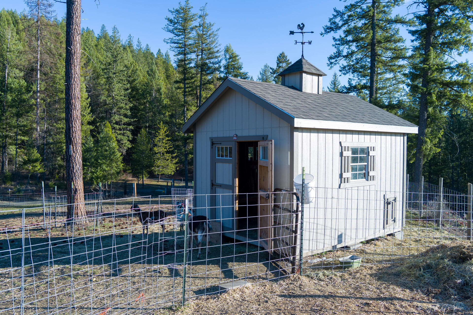 
                        Property photograph at
                        2559 F UNITED COPPER MINE RD
                      
