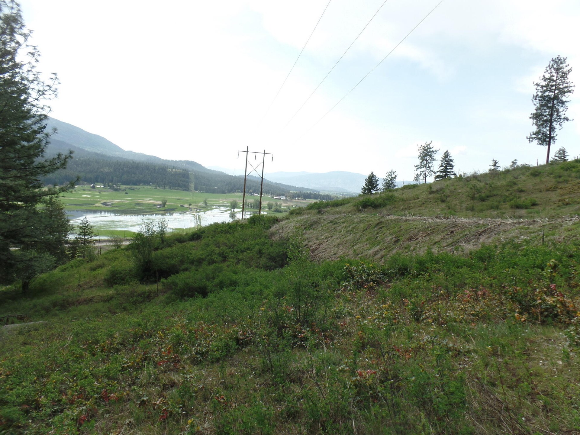 
                        Property photograph at
                        2XX HWY 395 N #A
                      