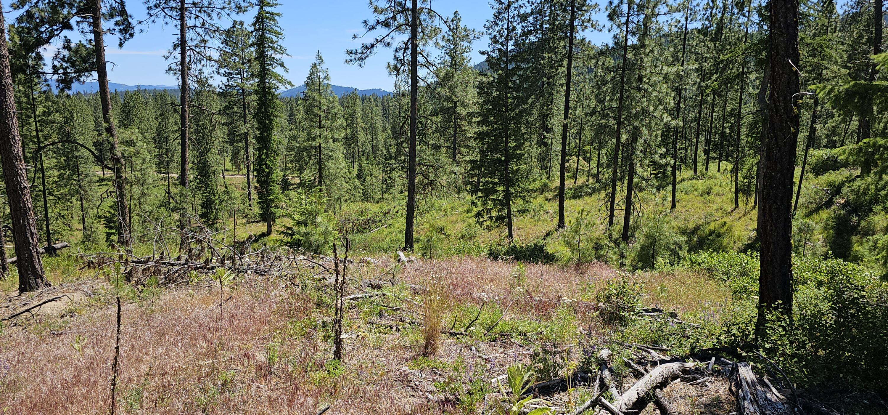 
                        Property photograph at
                        20X LYNX CREEK RD
                      
