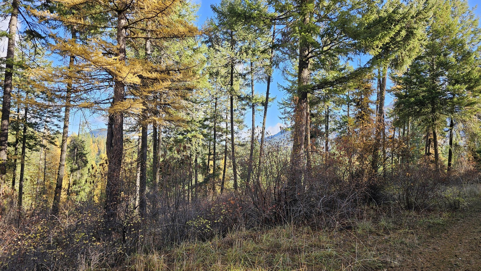 
                        Property photograph at
                        700 DRY GULCH RD
                      