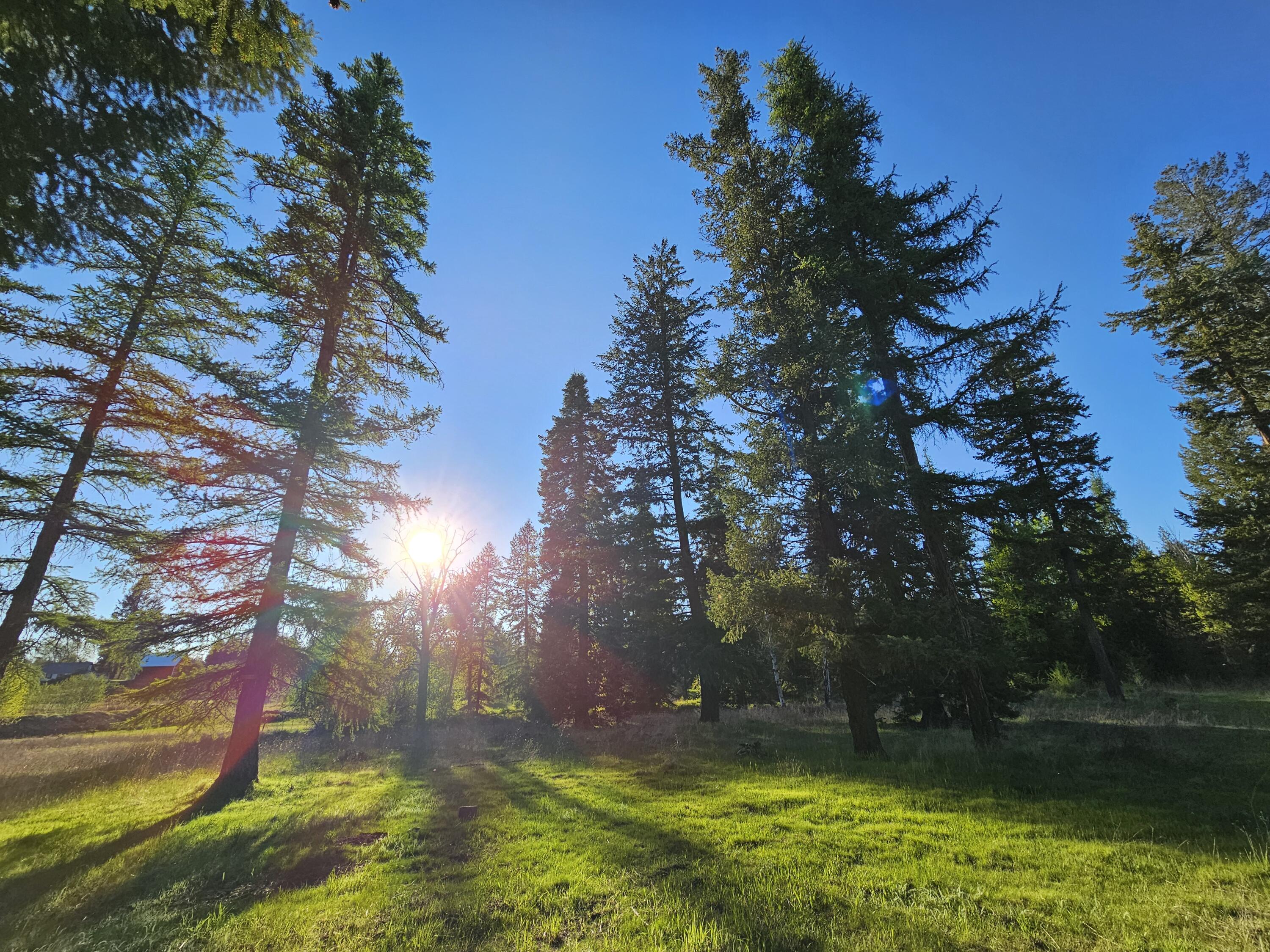 
                        Property photograph at
                        2XXX BLK E ELOIKA LAKE RD
                      