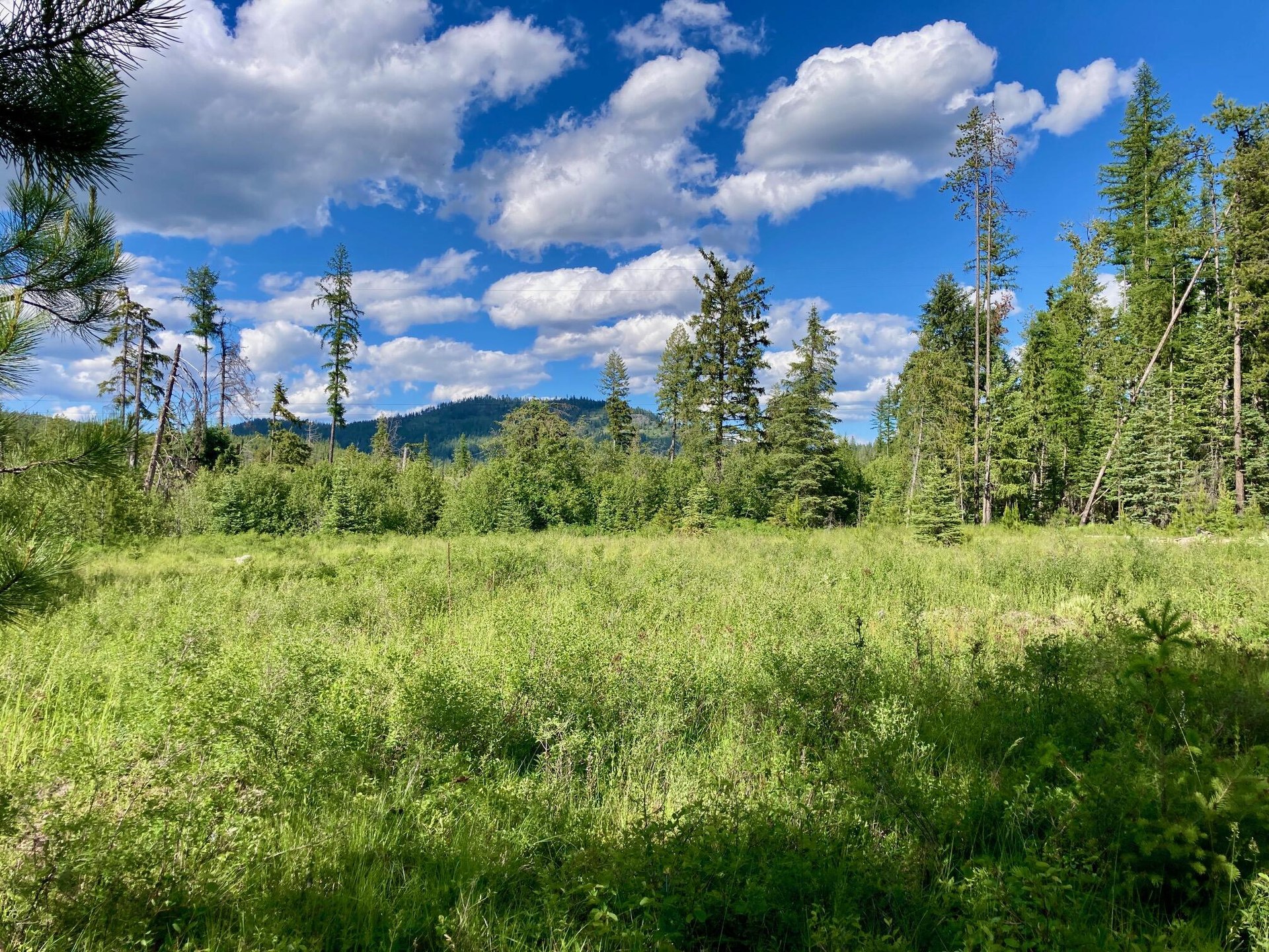 
                        Property photograph at
                        1496 Q HIGHWAY 20 E
                      