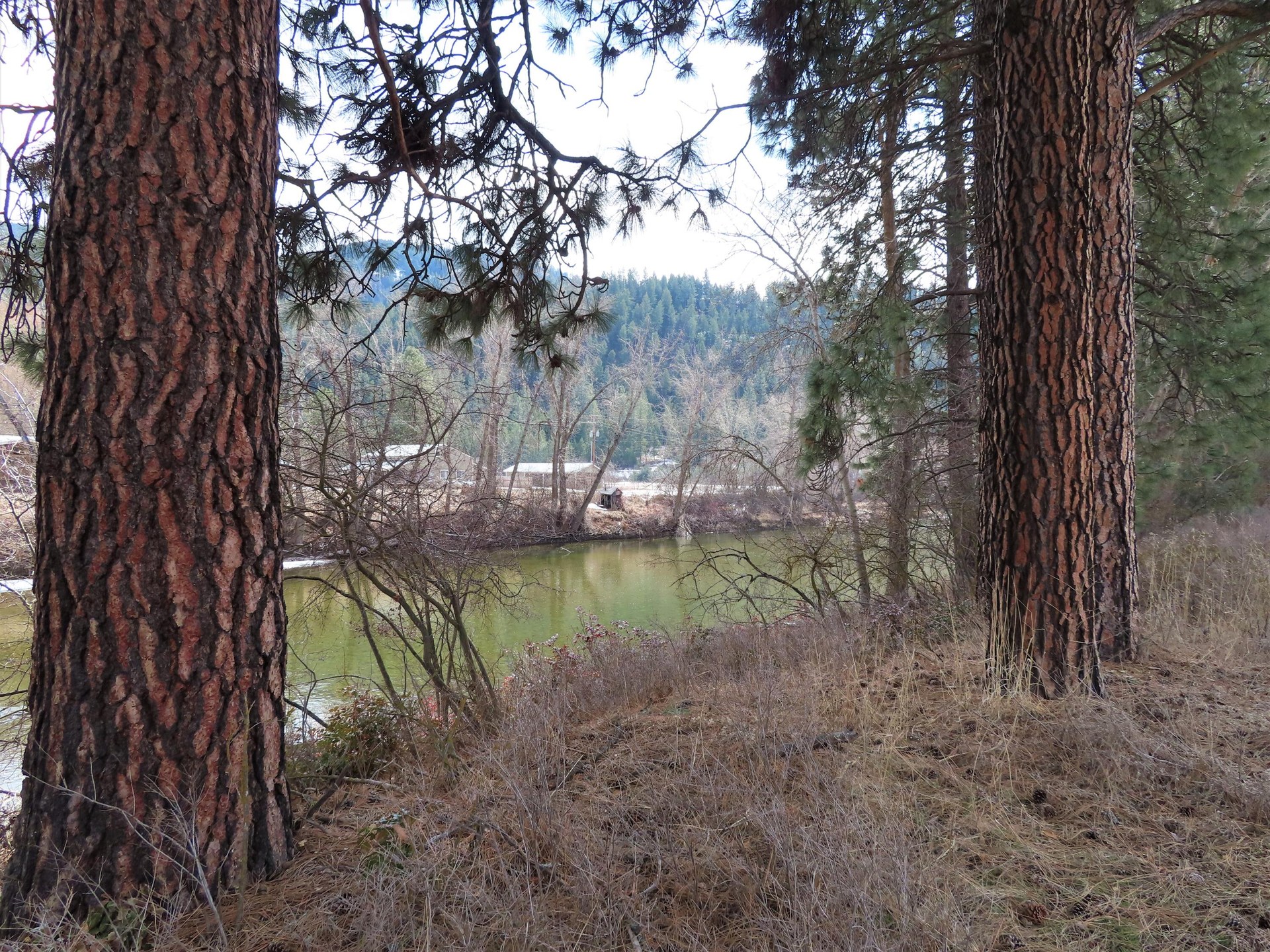 
                        Property photograph at
                        TBD HIGHWAY 21 N
                      