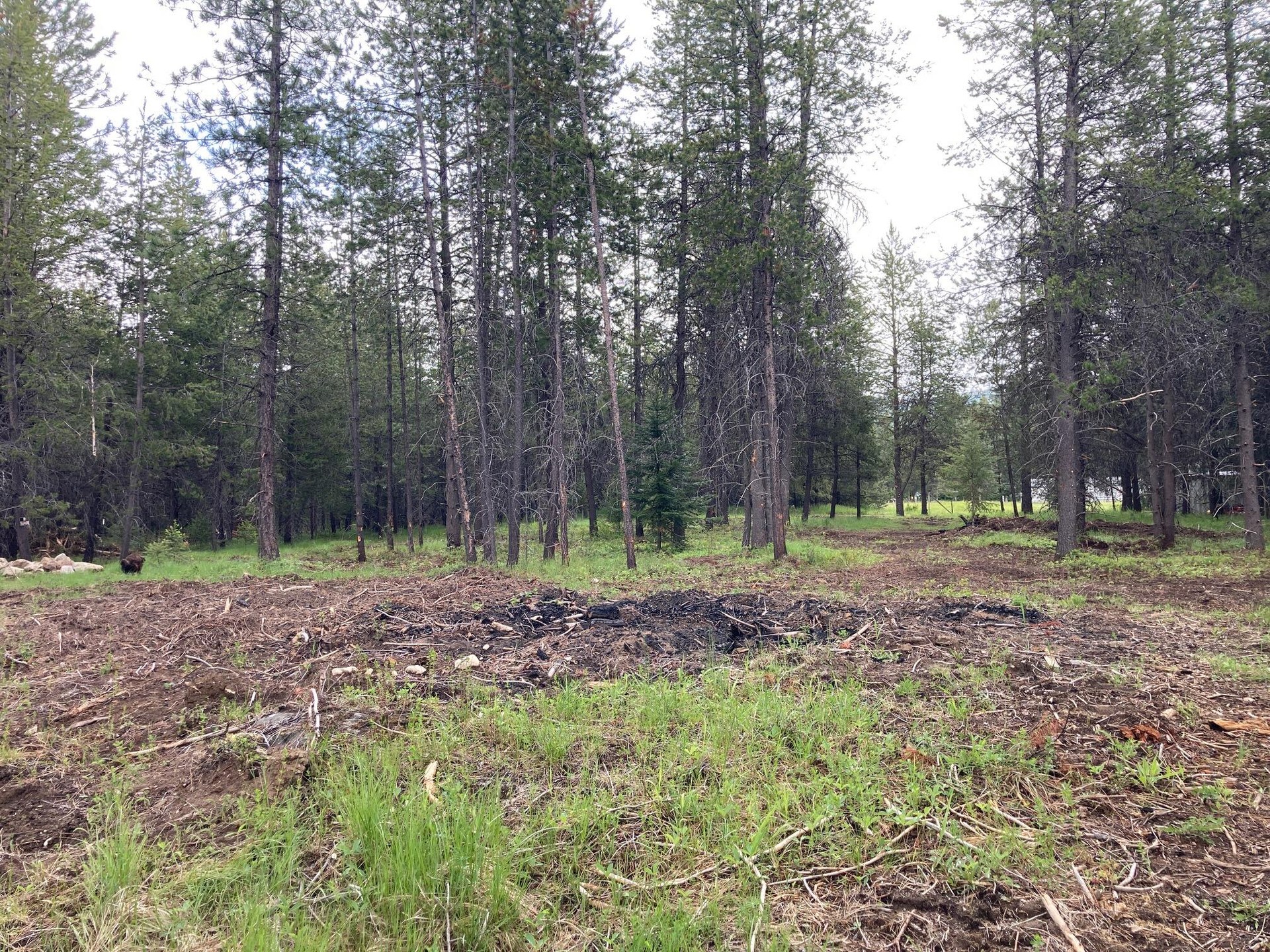 
                        Property photograph at
                        1496 E HWY 20 XX
                      