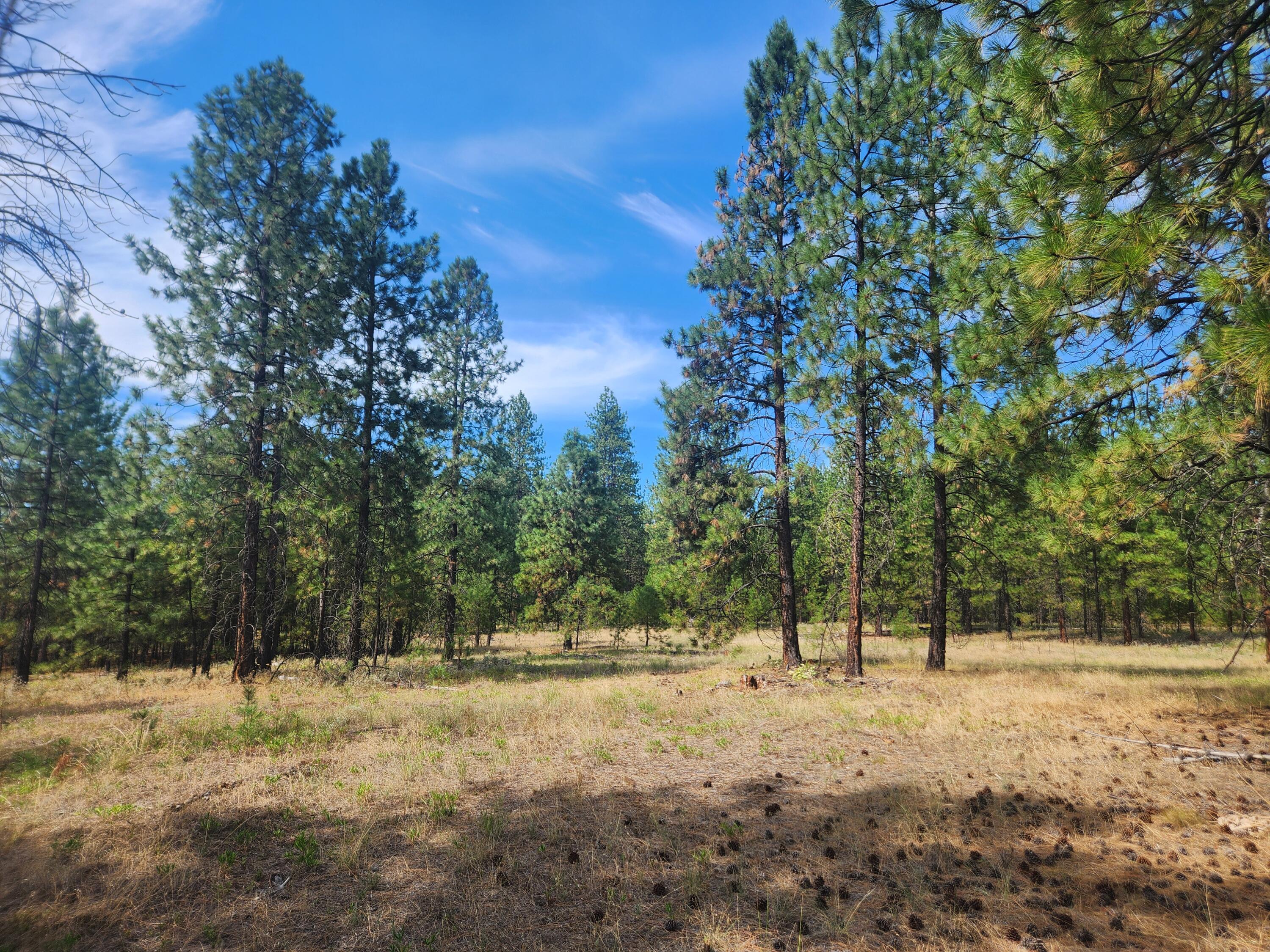 
                        Property photograph at
                        1866 K NORTHPORT FLAT CREEK RD
                      