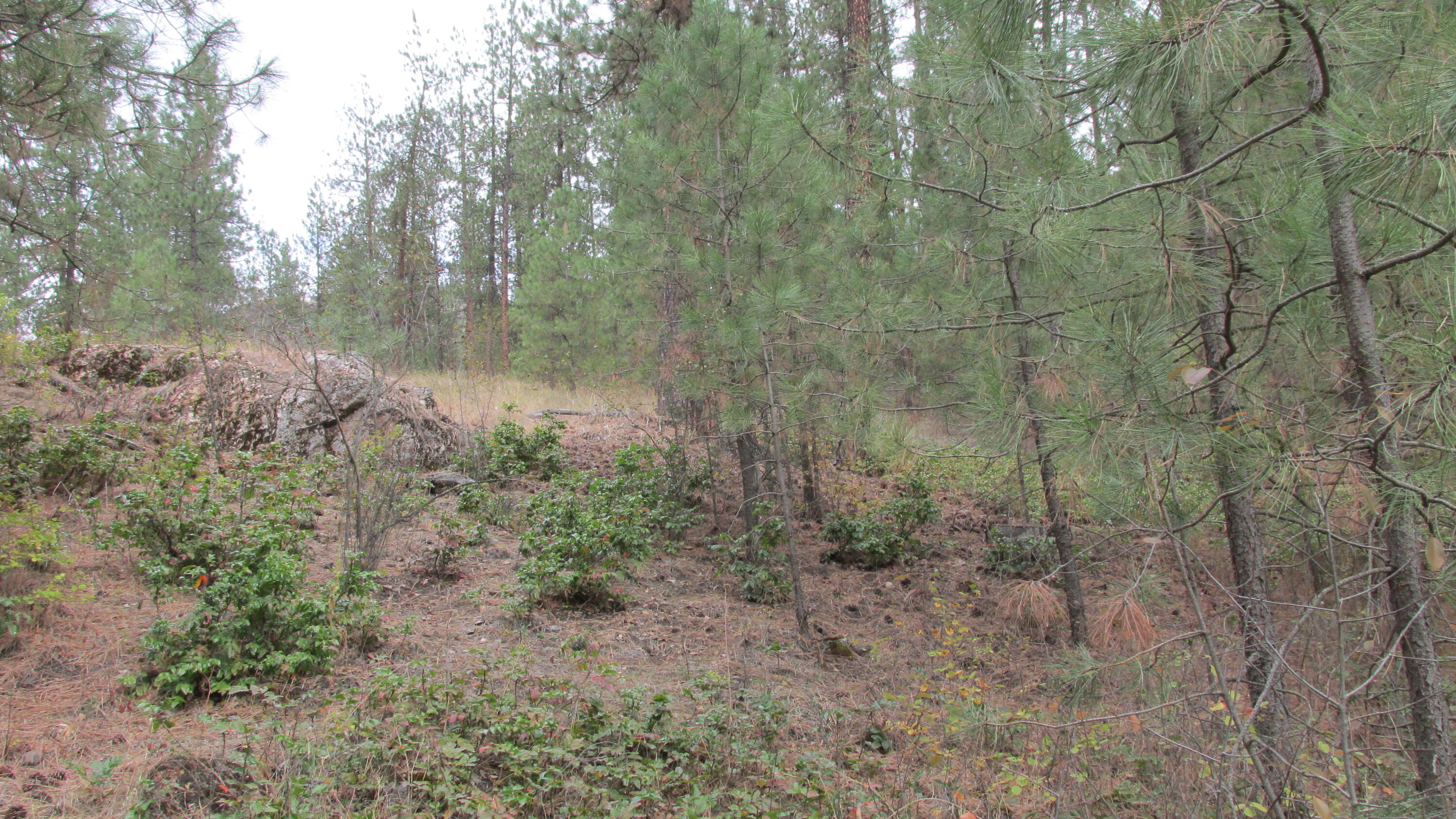 
                        Property photograph at
                        1525 HIGHWAY 395 S
                      