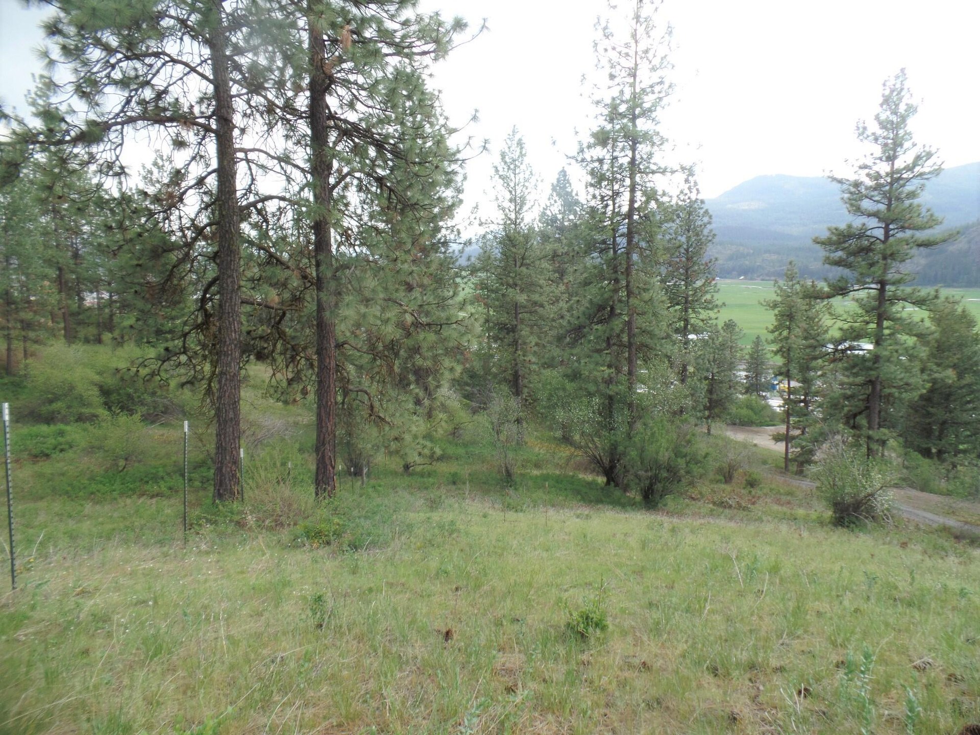 
                        Property photograph at
                        2XX HWY 395 N #A
                      
