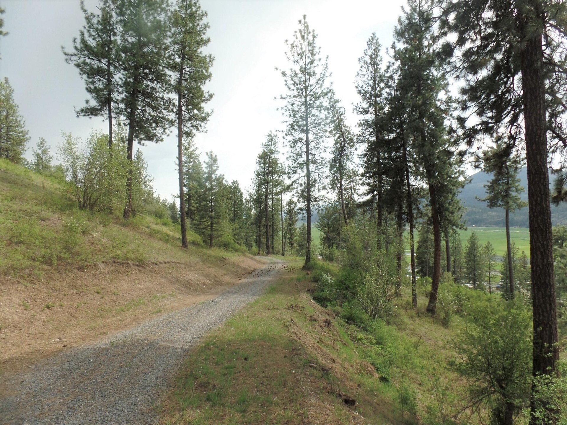 
                        Property photograph at
                        2XX HWY 395 N #A
                      