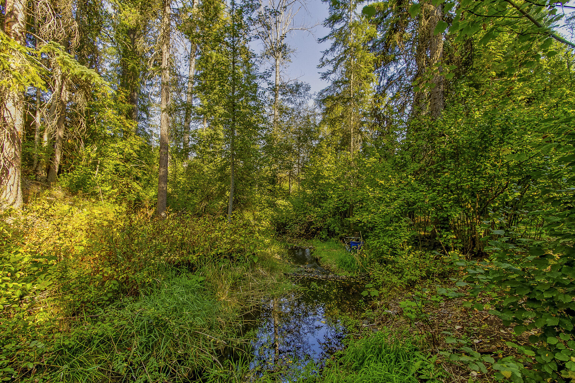 
                        Property photograph at
                        3829 DEEP LAKE BOUNDARY RD
                      