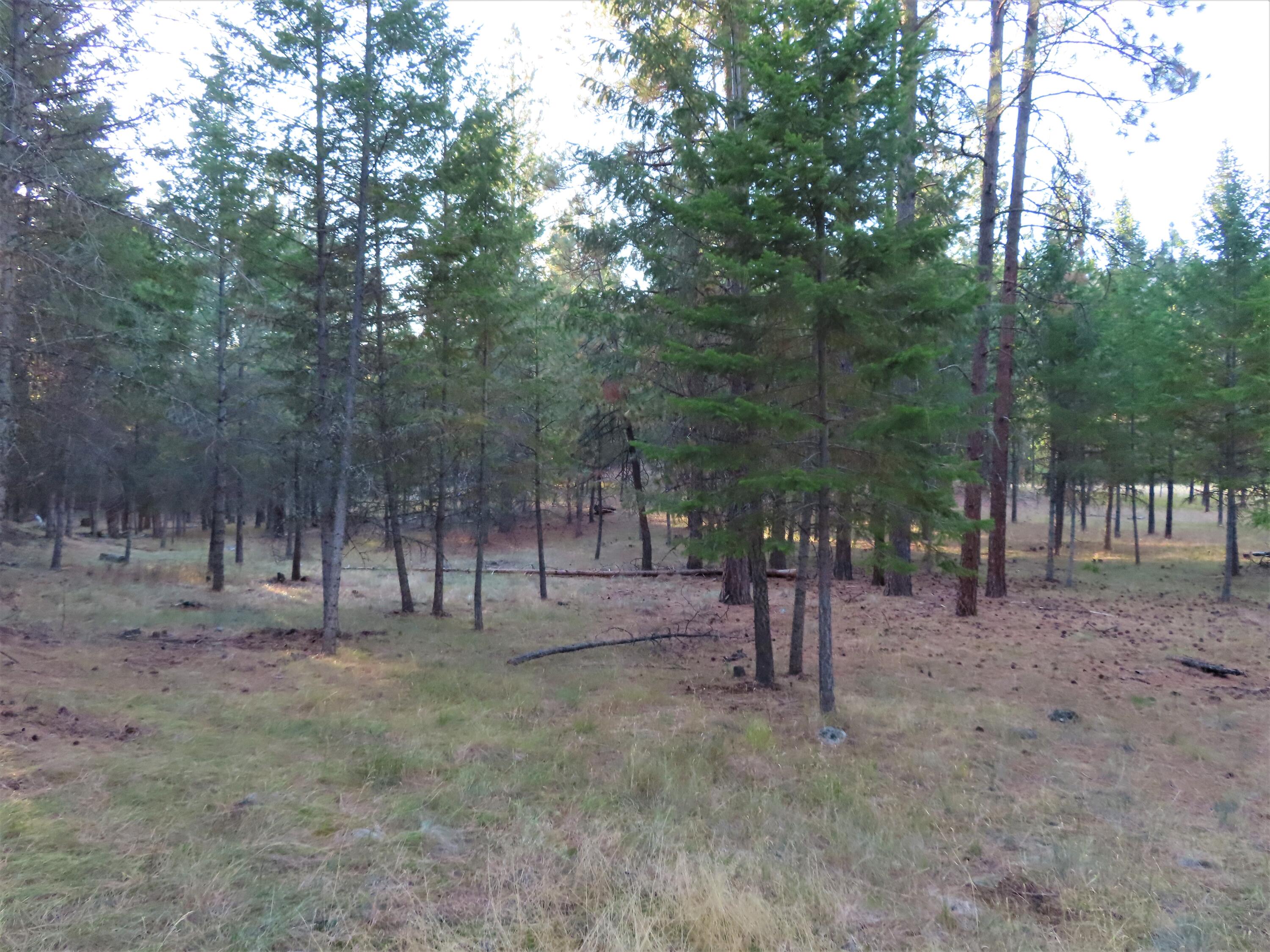 
                        Property photograph at
                        TBD TORODA CREEK RD
                      