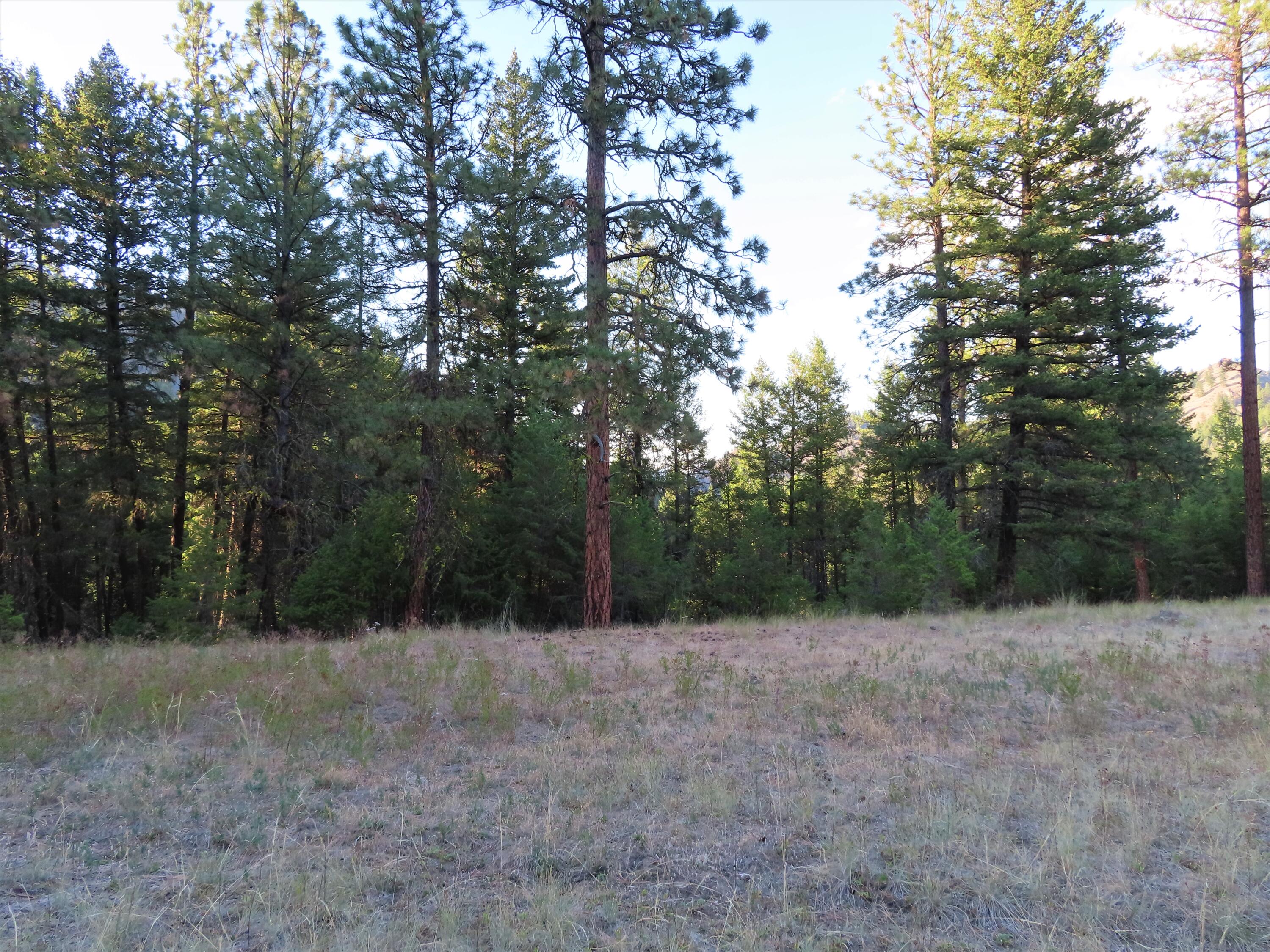 
                        Property photograph at
                        TBD TORODA CREEK RD
                      