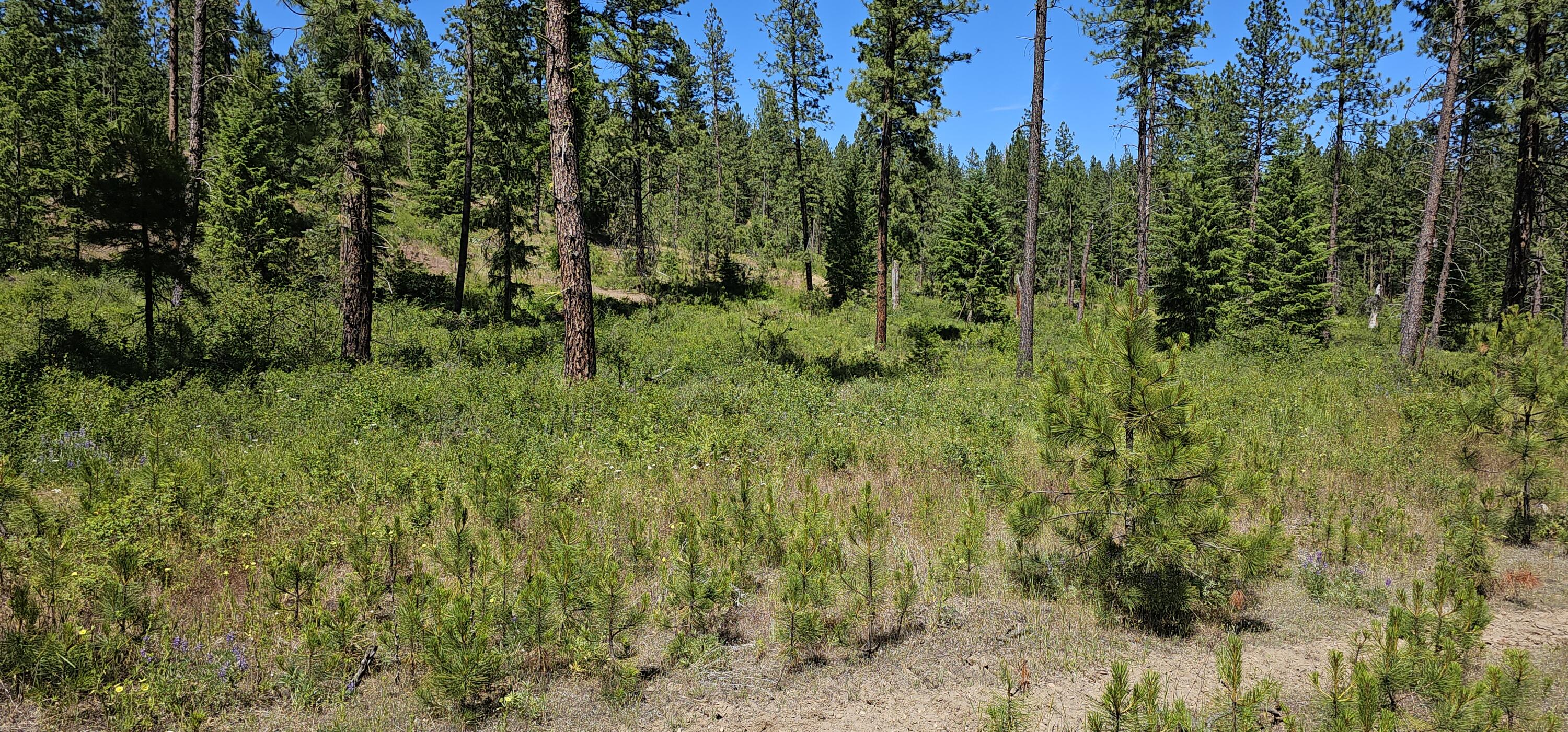 
                        Property photograph at
                        20X LYNX CREEK RD
                      