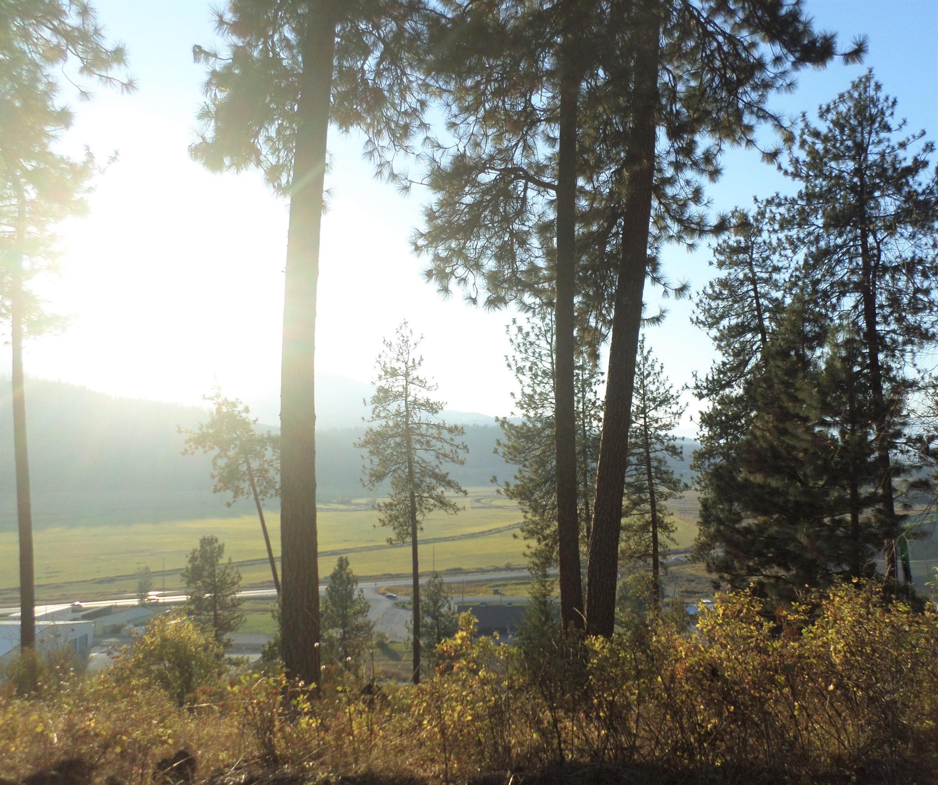 
                        Property photograph at
                        2XX HWY 395 N #A
                      