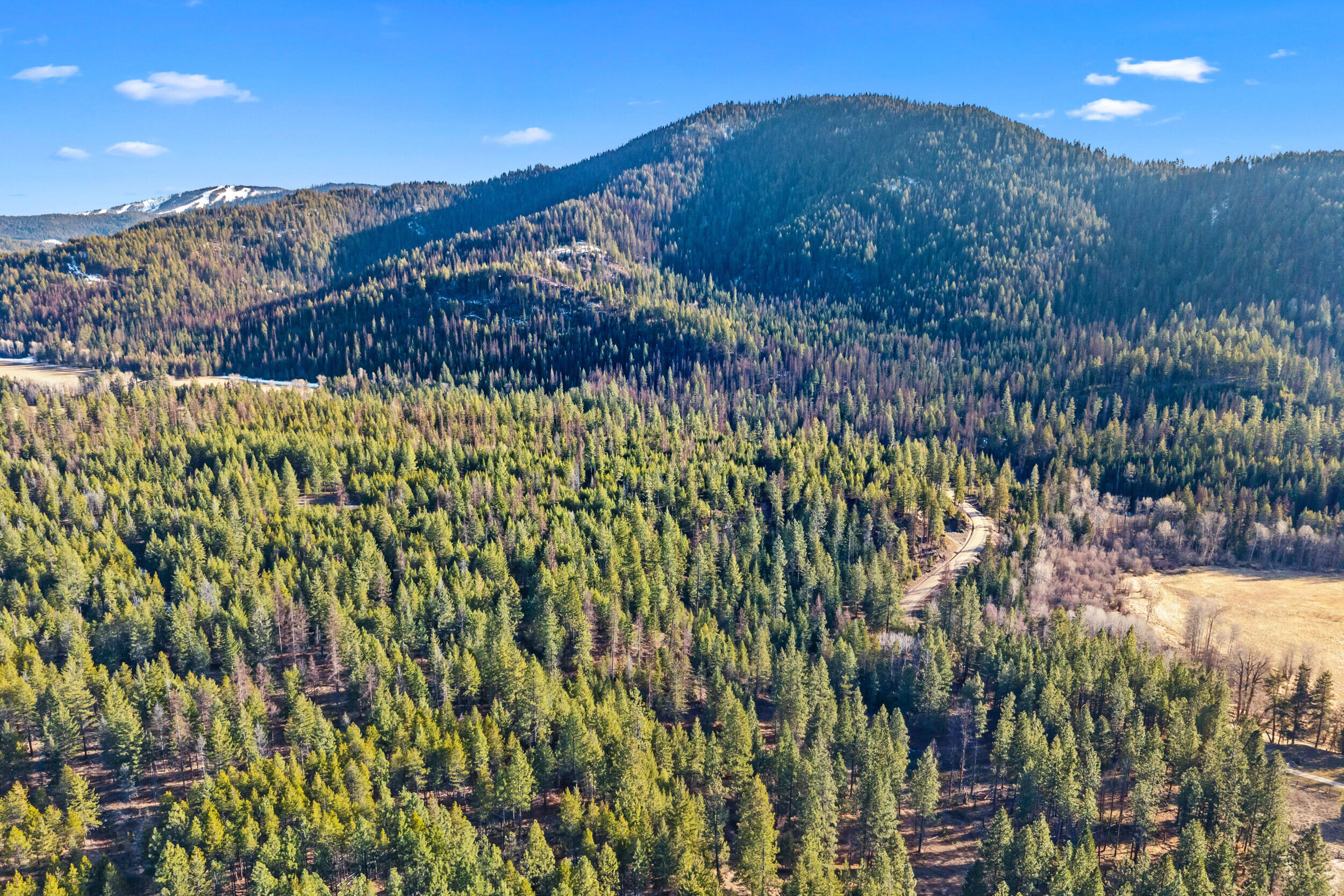 
                        Property photograph at
                        2845 BURNT VALLEY (18.5AC) RD
                      