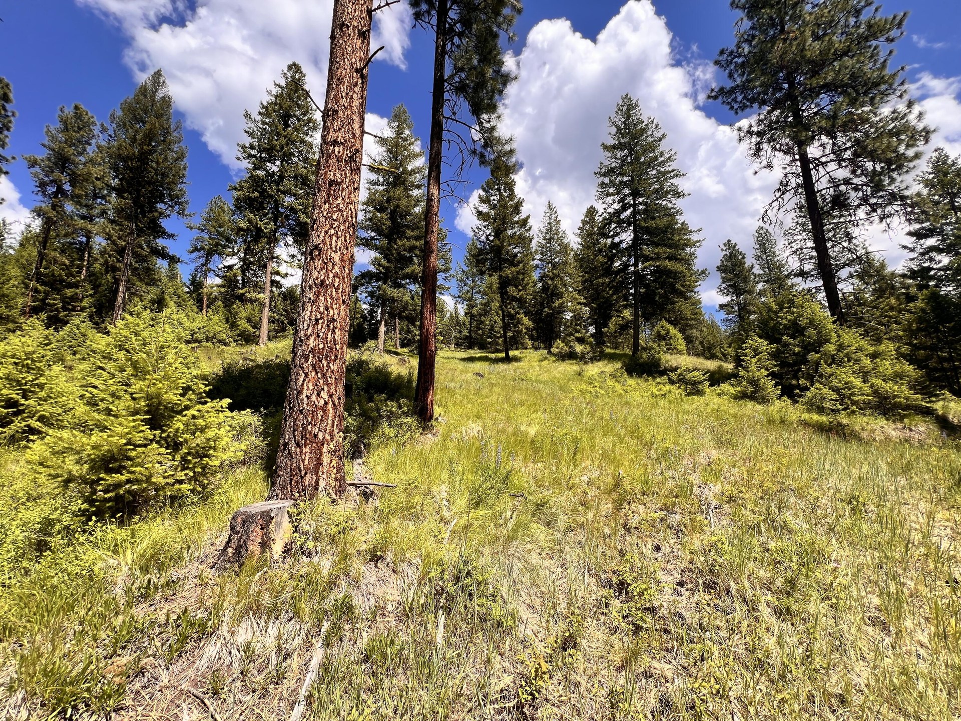 
                        Property photograph at
                        TBD OLD KETTLE FALLS RD
                      