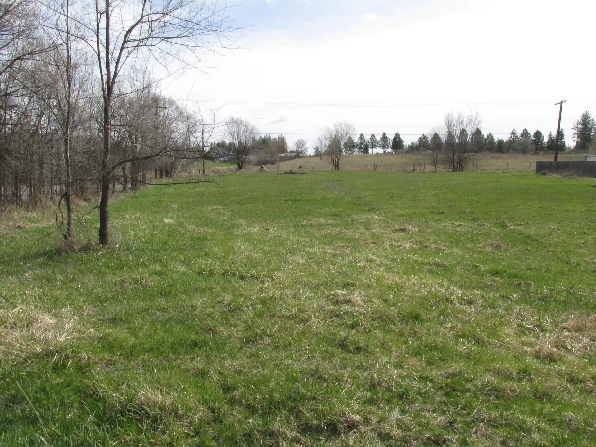 
                        Property photograph at
                        1325 S MAIN ST
                      