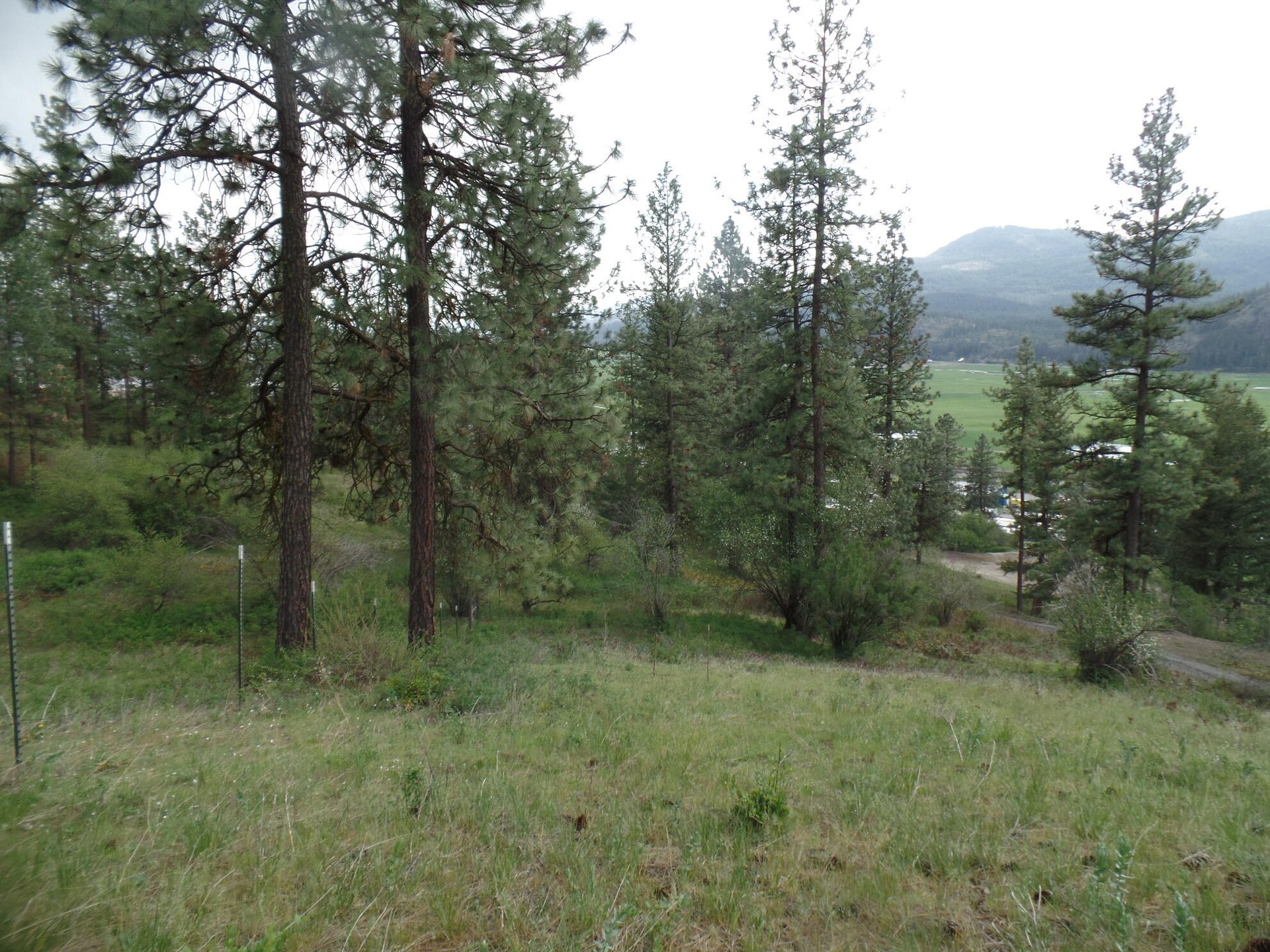 
                        Property photograph at
                        2XX HWY 395 N #B
                      