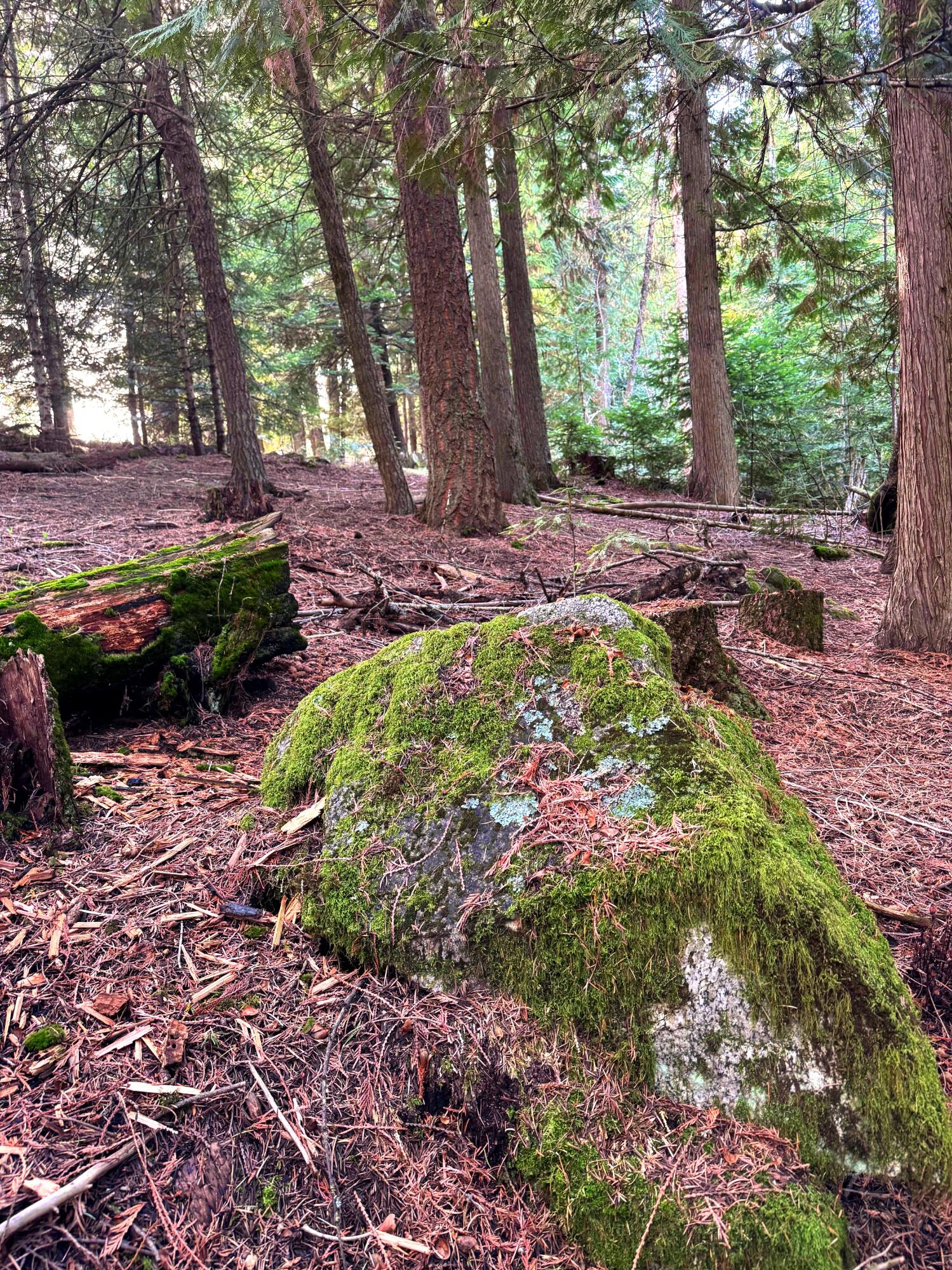 
                        Property photograph at
                        2XXX BLK E ELOIKA LAKE RD
                      