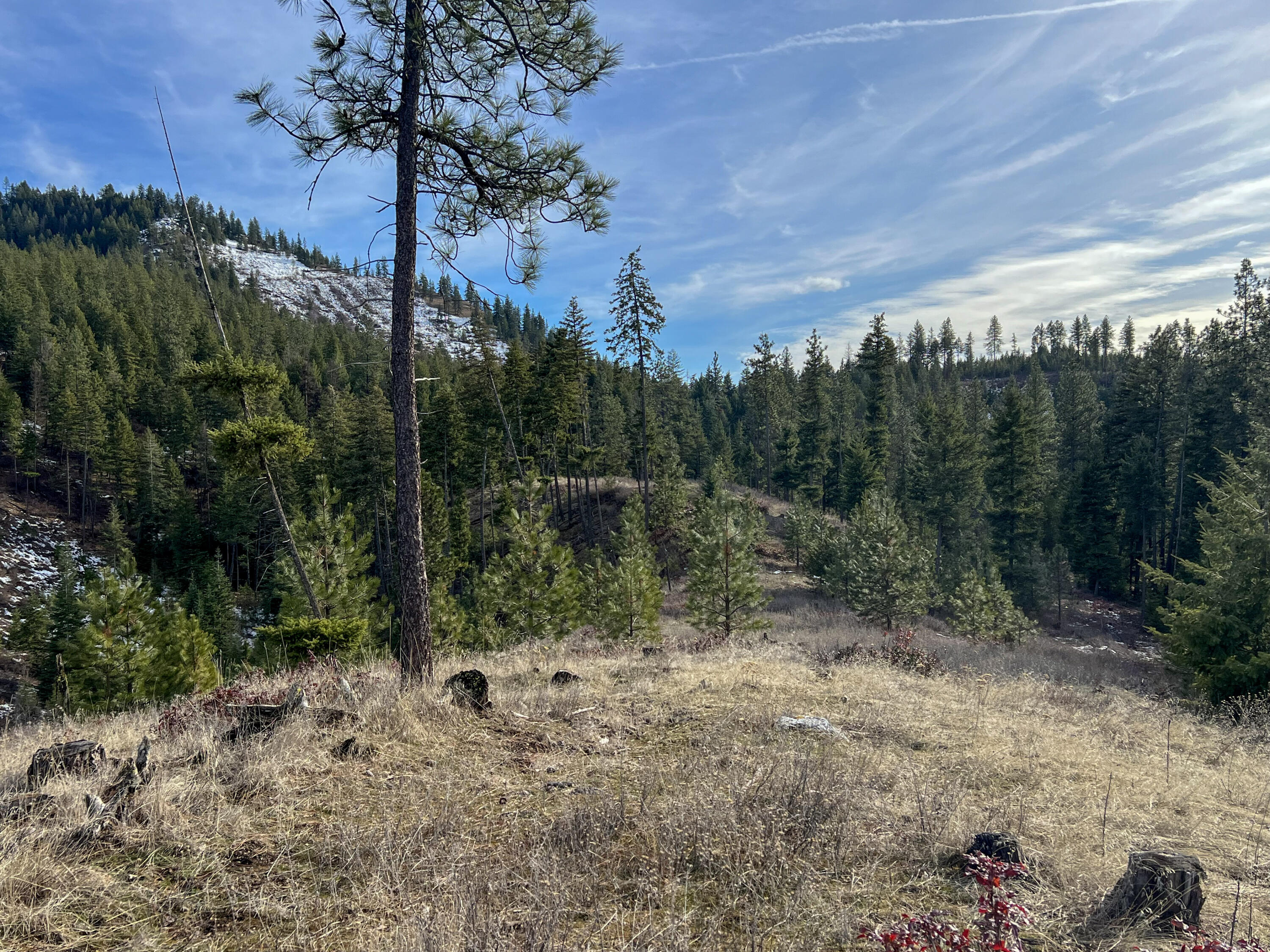 
                        Property photograph at
                        35XX HARMS WAY
                      