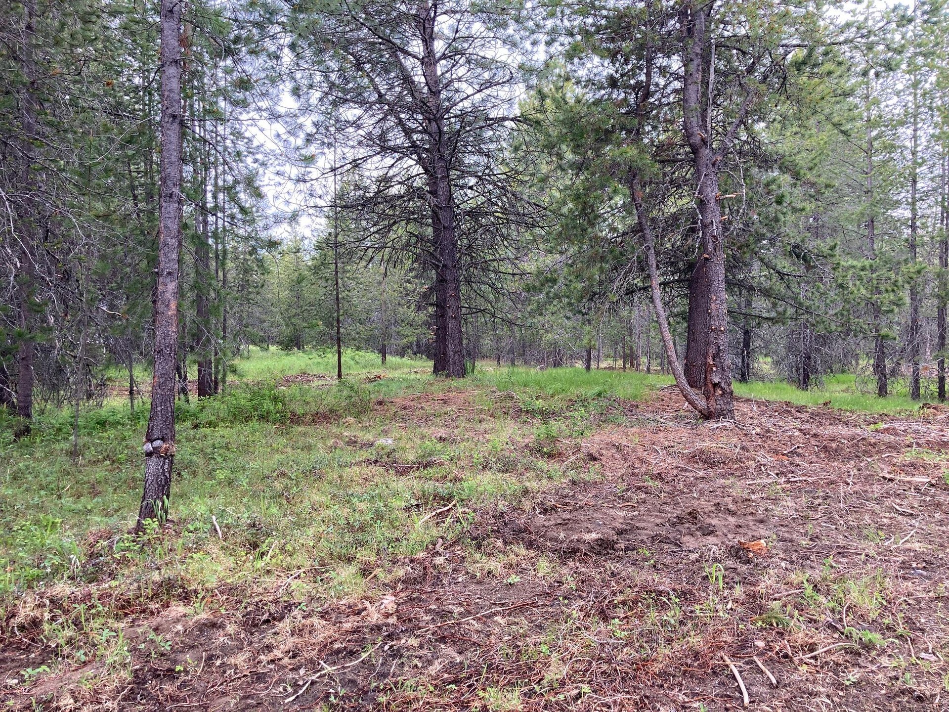 
                        Property photograph at
                        1496 E HWY 20 XX
                      
