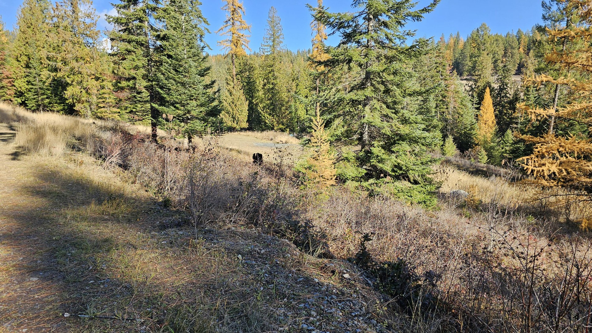 
                        Property photograph at
                        717 B FINLEY GULCH RD
                      
