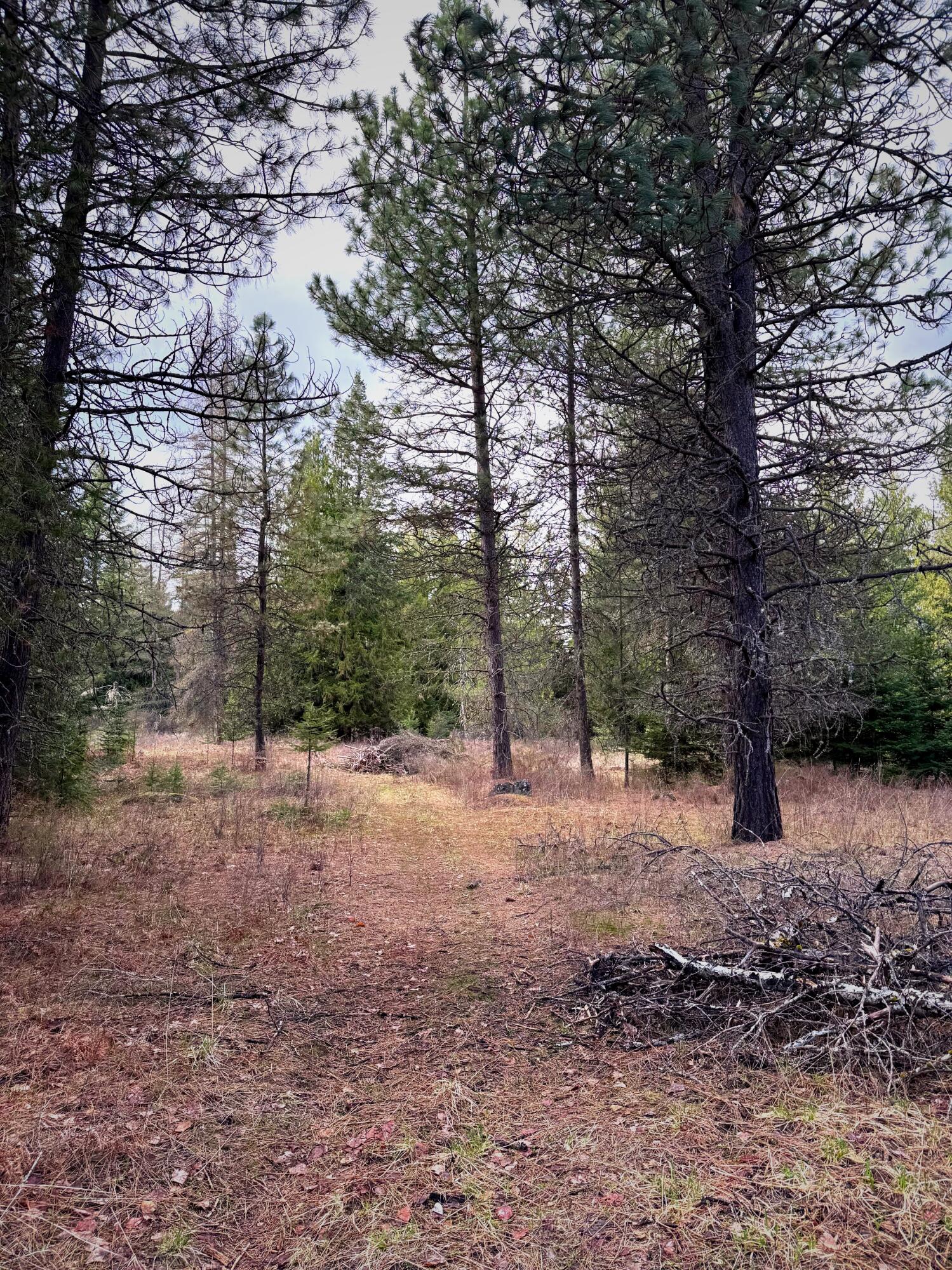 
                        Property photograph at
                        2XXX BLK E ELOIKA LAKE RD
                      