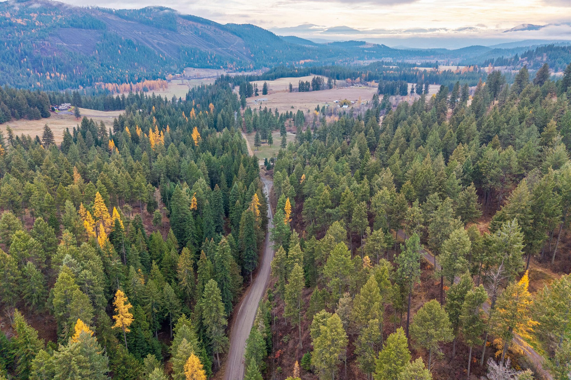 
                        Property photograph at
                        717 B FINLEY GULCH RD
                      