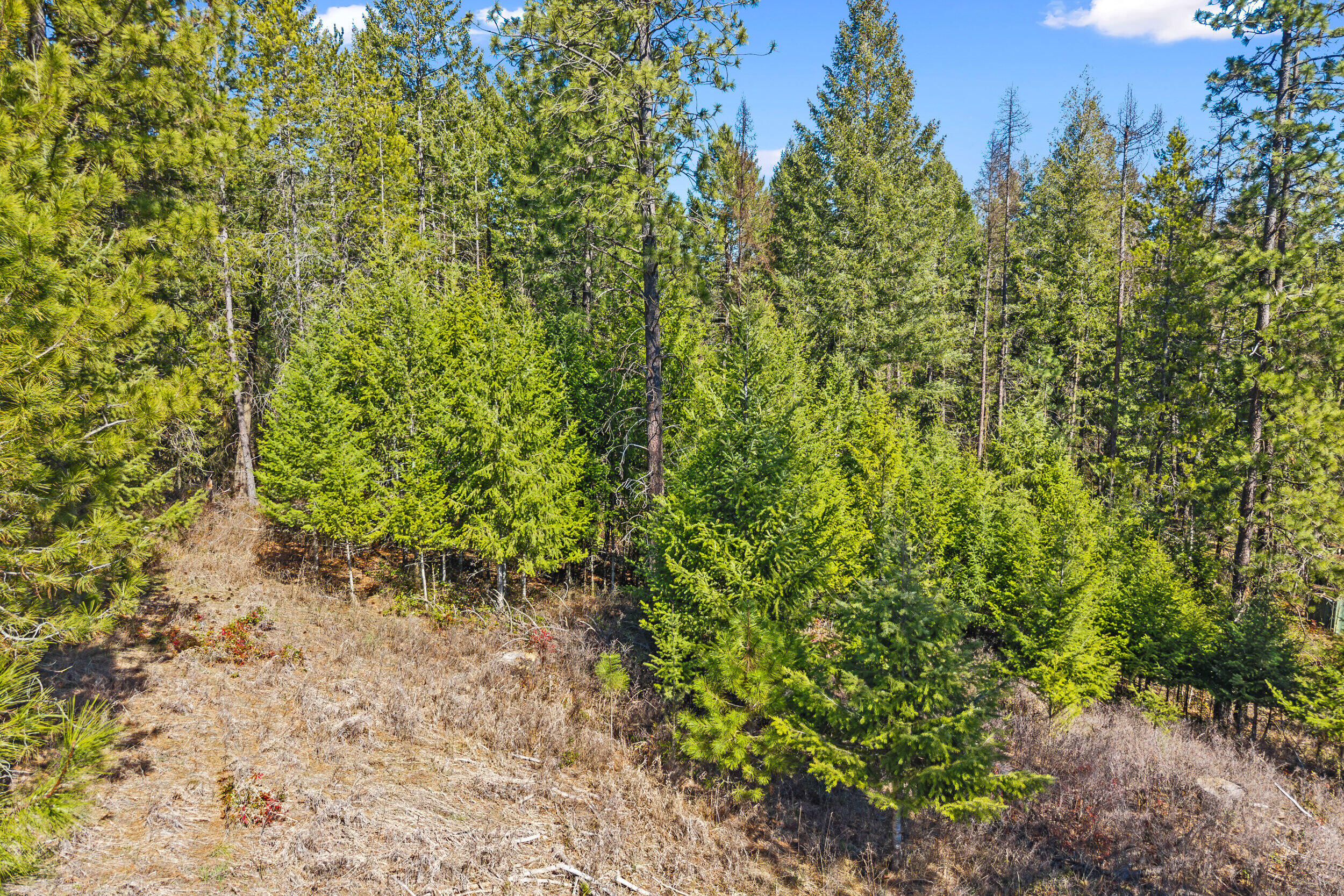 
                        Property photograph at
                        2068 ADDY-GIFFORD RD
                      