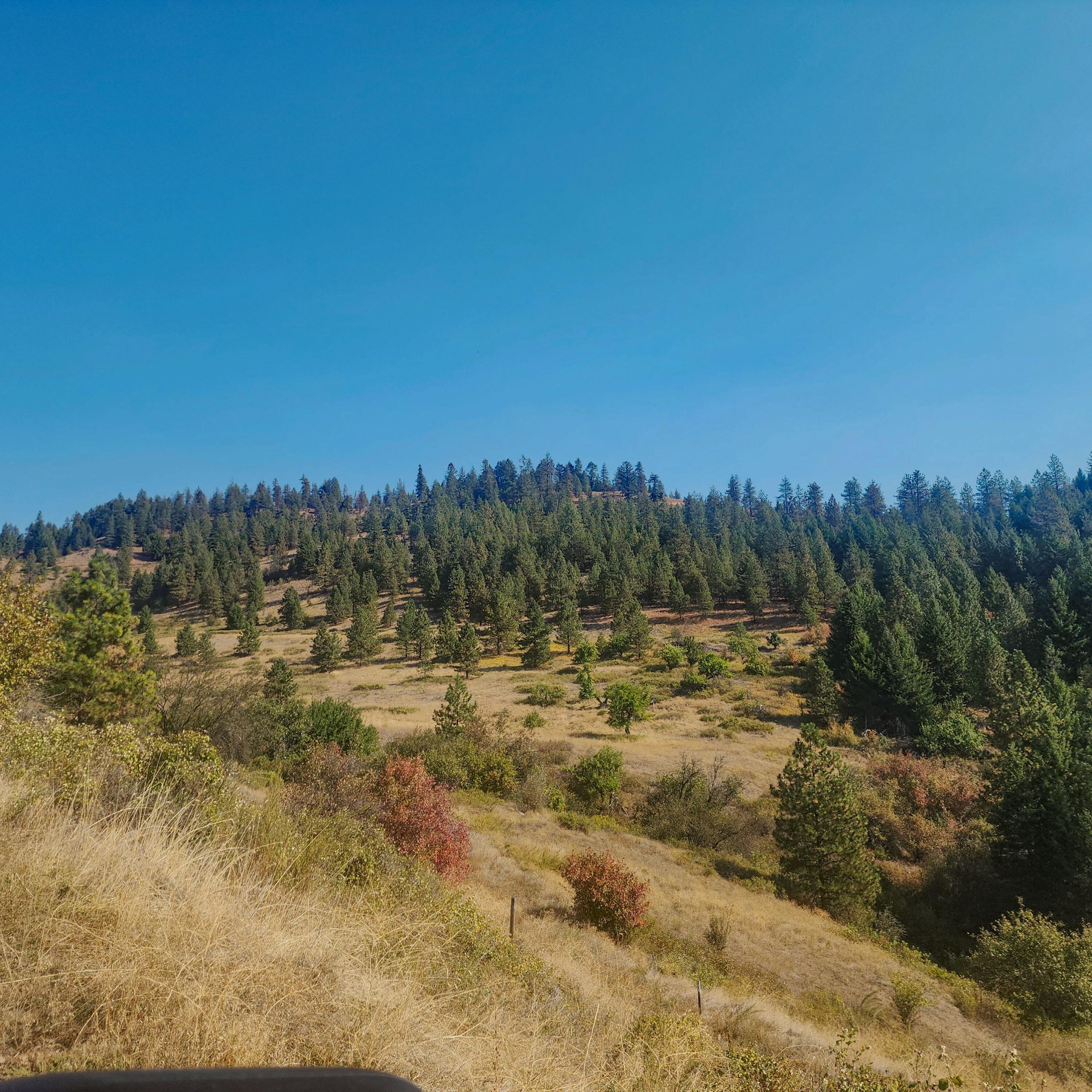 
                        Property photograph at
                        TBD GOLD HILL LOT C RD
                      