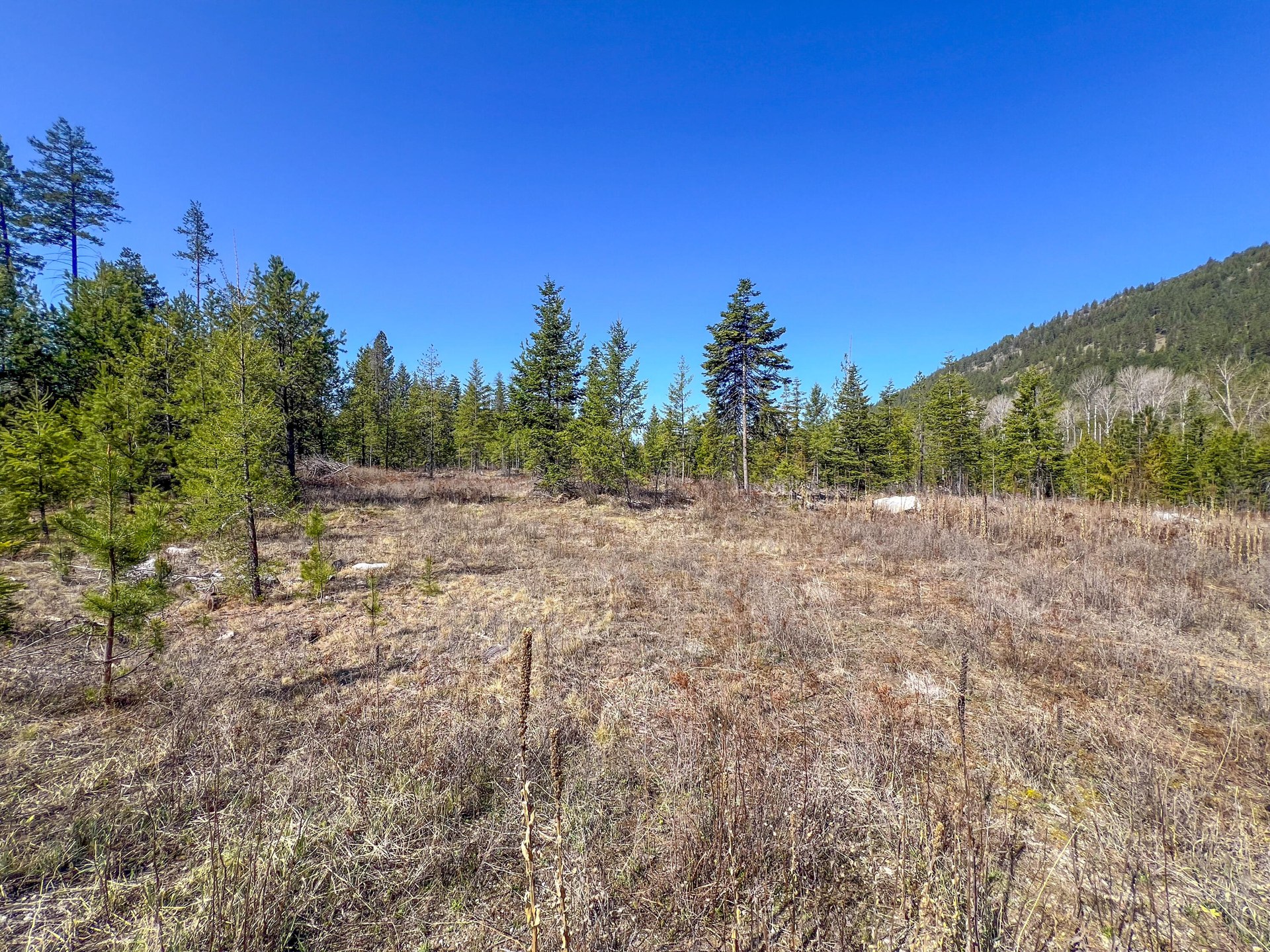 
                        Property photograph at
                        26XX FLOWERY TRAIL RD
                      