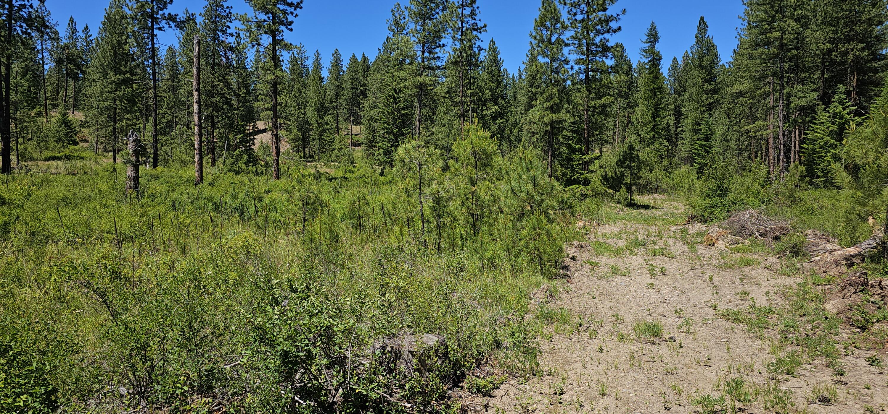 
                        Property photograph at
                        20X LYNX CREEK RD
                      