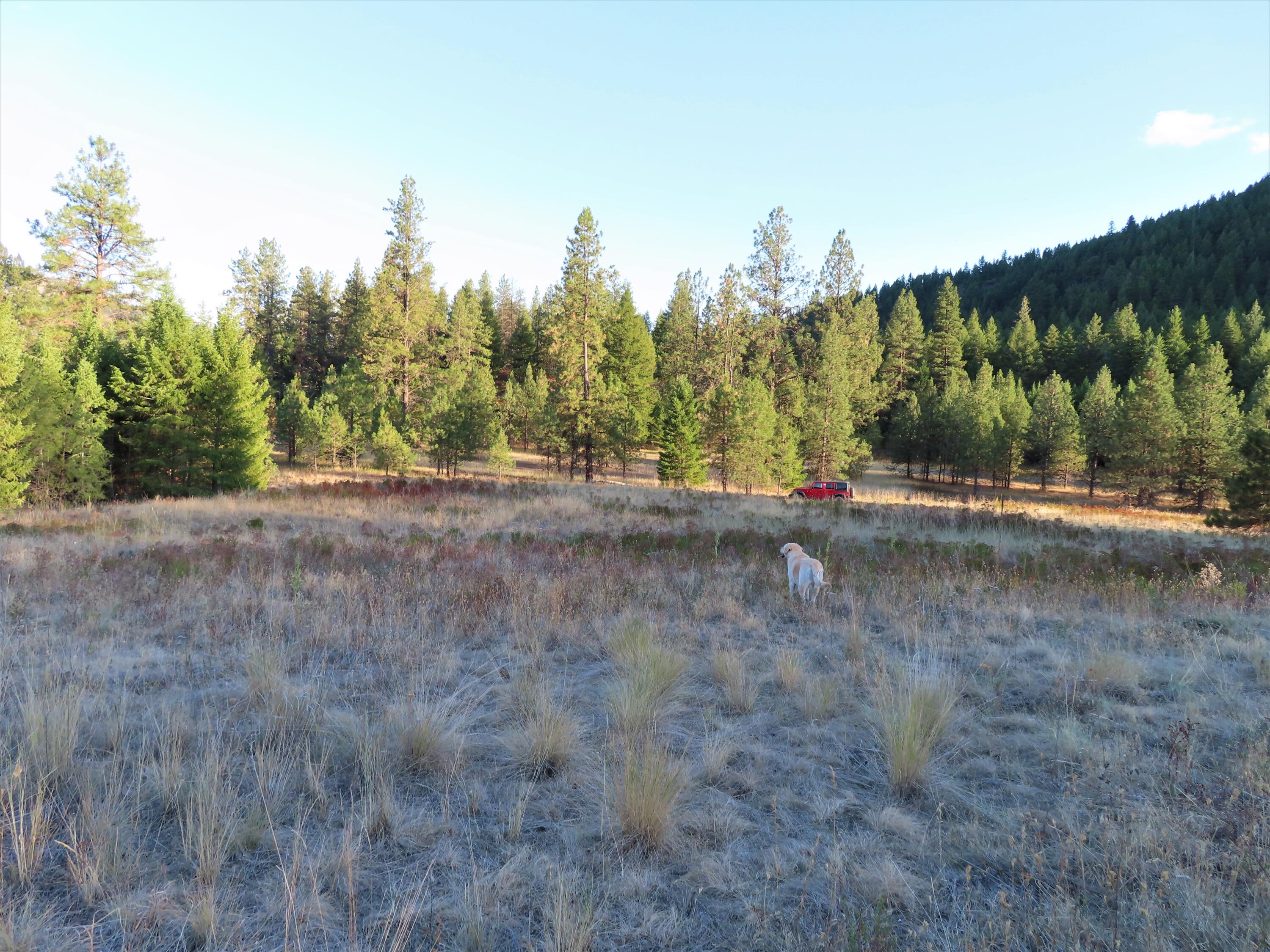 
                        Property photograph at
                        TBD TORODA CREEK RD
                      