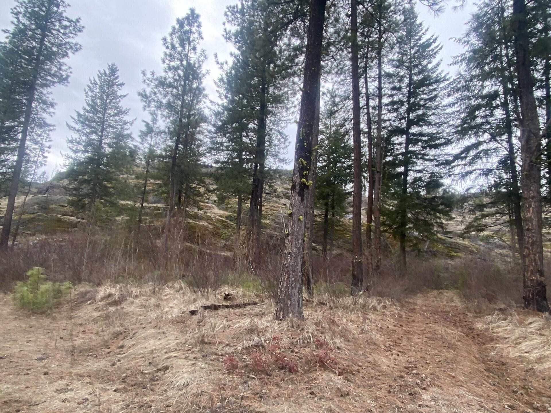 
                        Property photograph at
                        TRACT 2 COWBOYS AND ANGELS AVE
                      