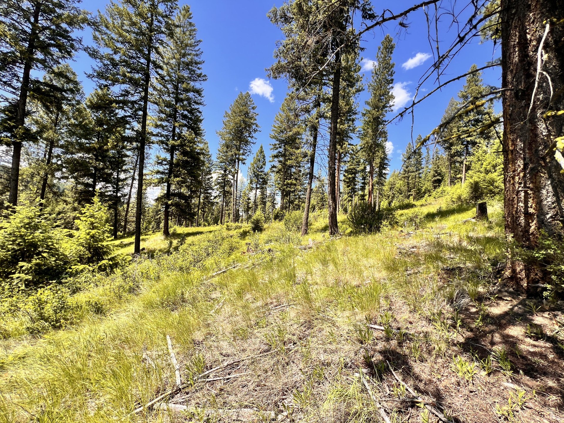 
                        Property photograph at
                        TBD OLD KETTLE FALLS RD
                      