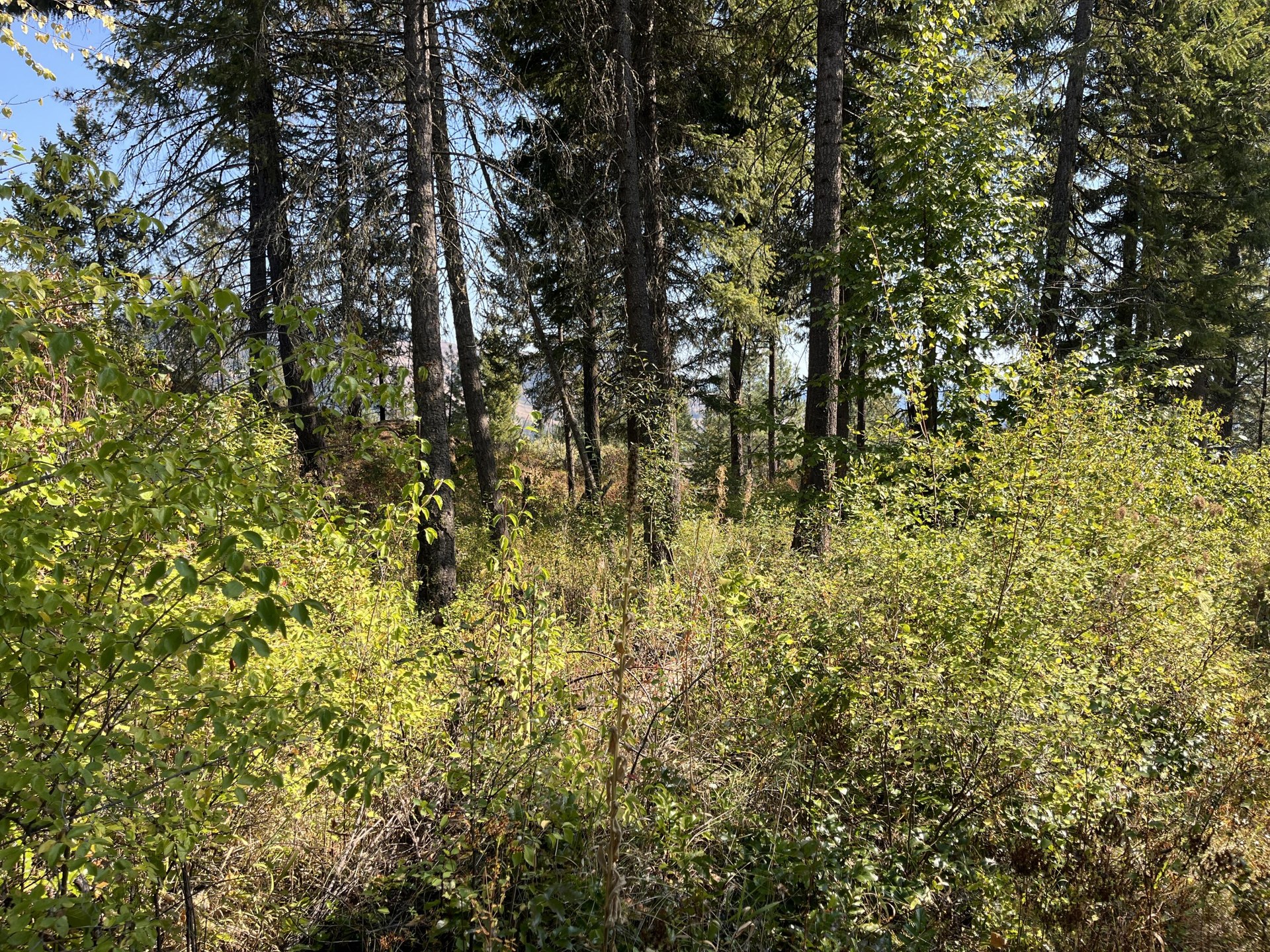 
                        Property photograph at
                        TRACT 2 COWBOYS AND ANGELS AVE
                      