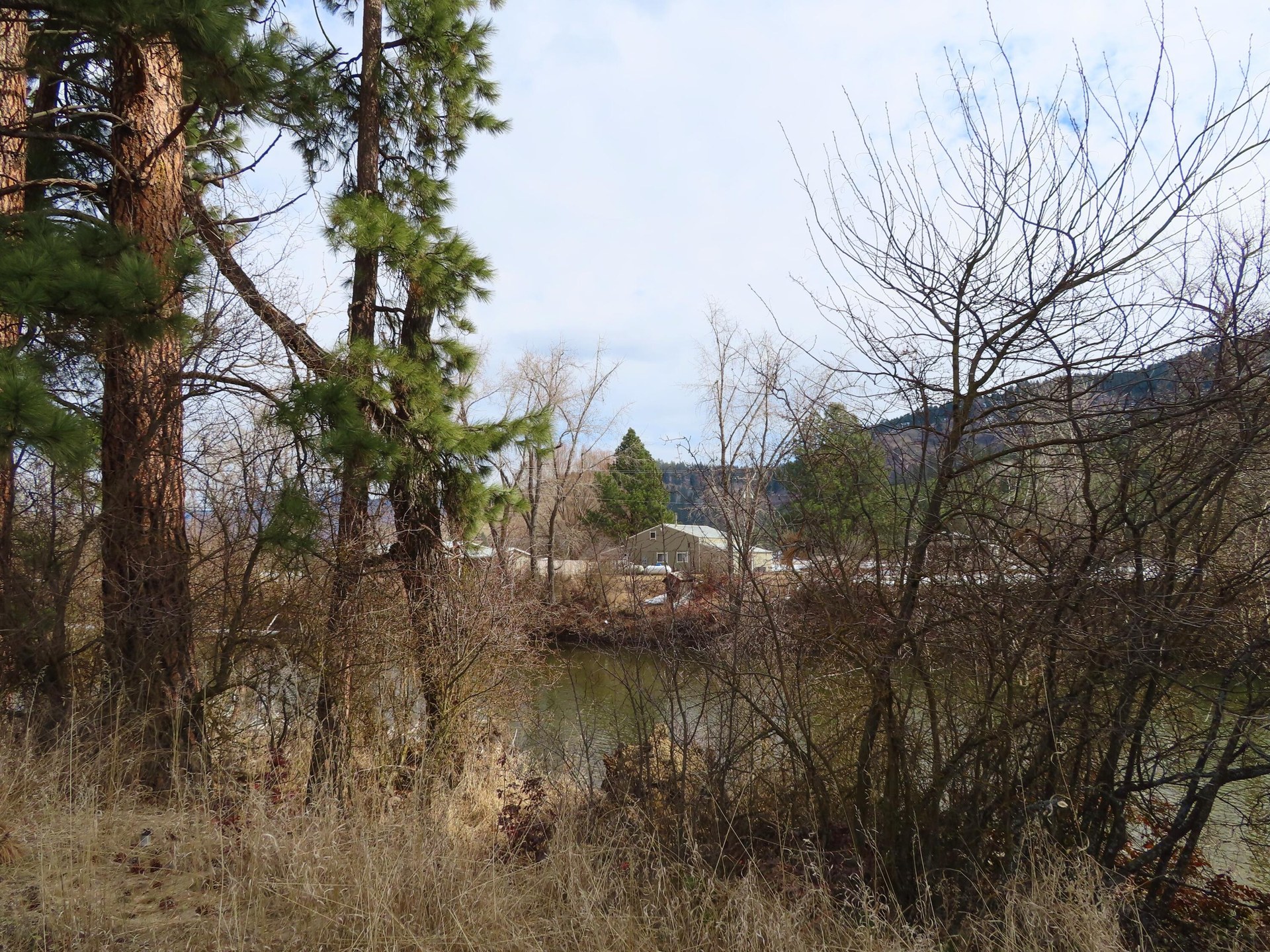 
                        Property photograph at
                        TBD HIGHWAY 21 N
                      