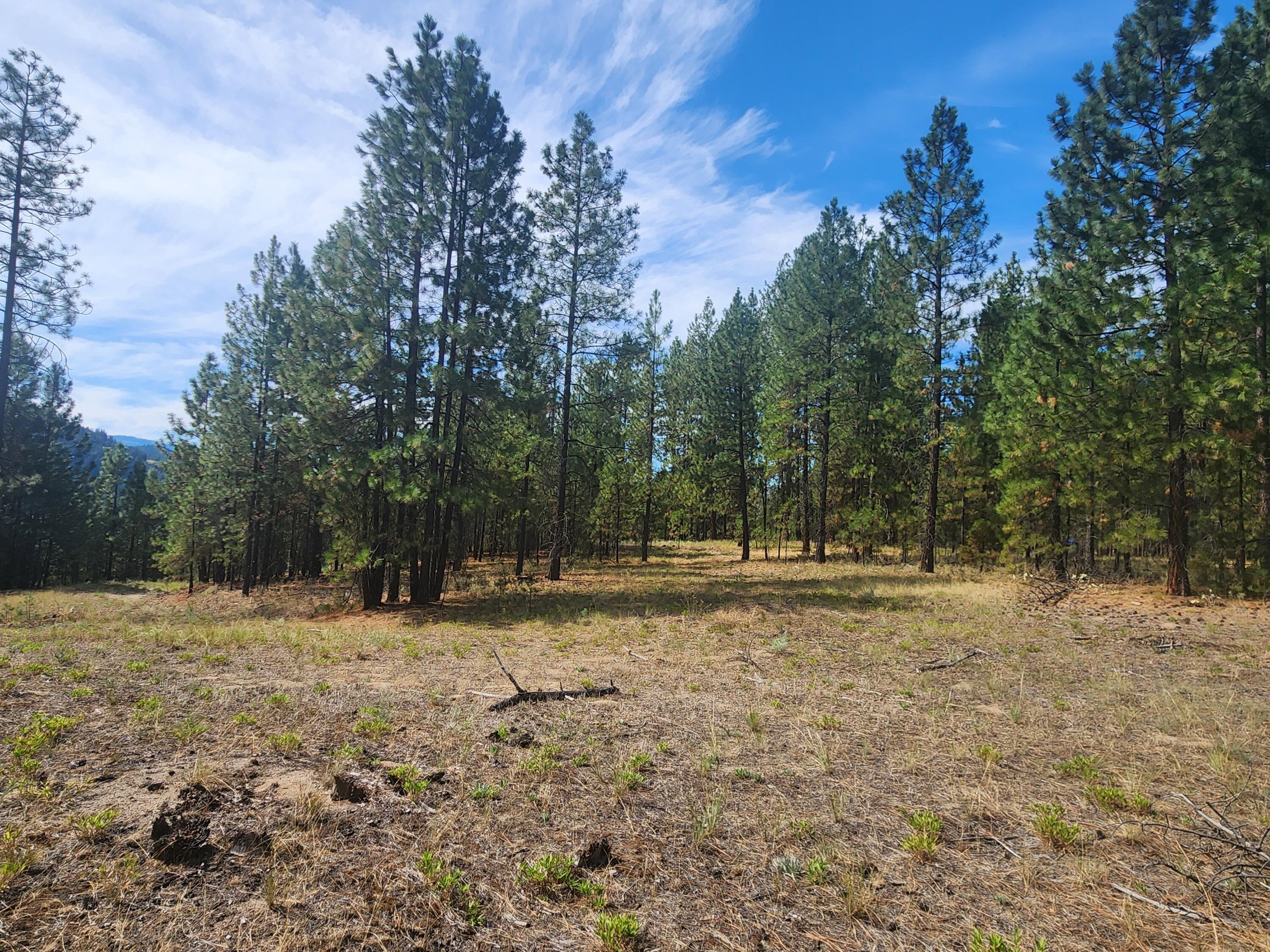 
                        Property photograph at
                        1866 K NORTHPORT FLAT CREEK RD
                      