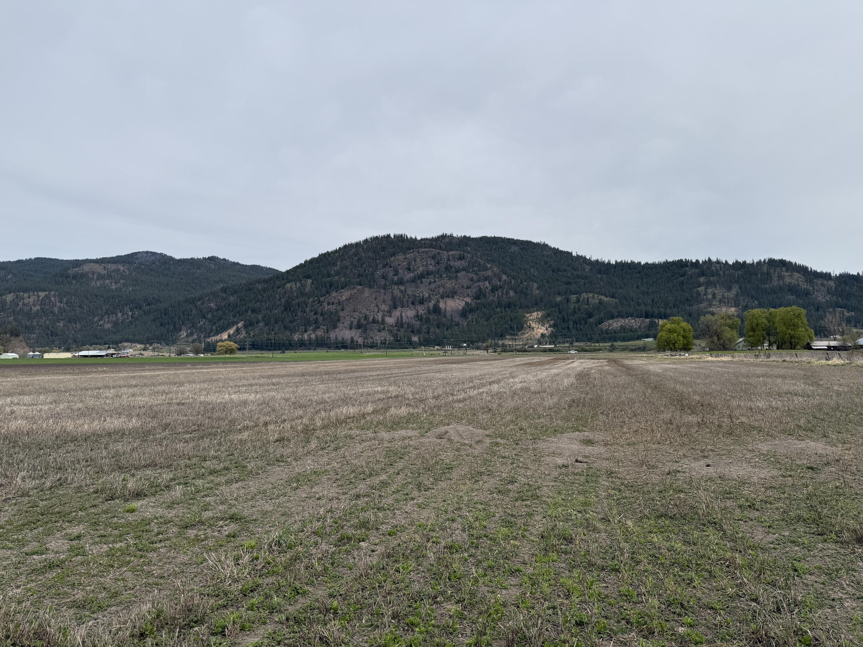 
                        Property photograph at
                        TBD ZIMMER RD
                      