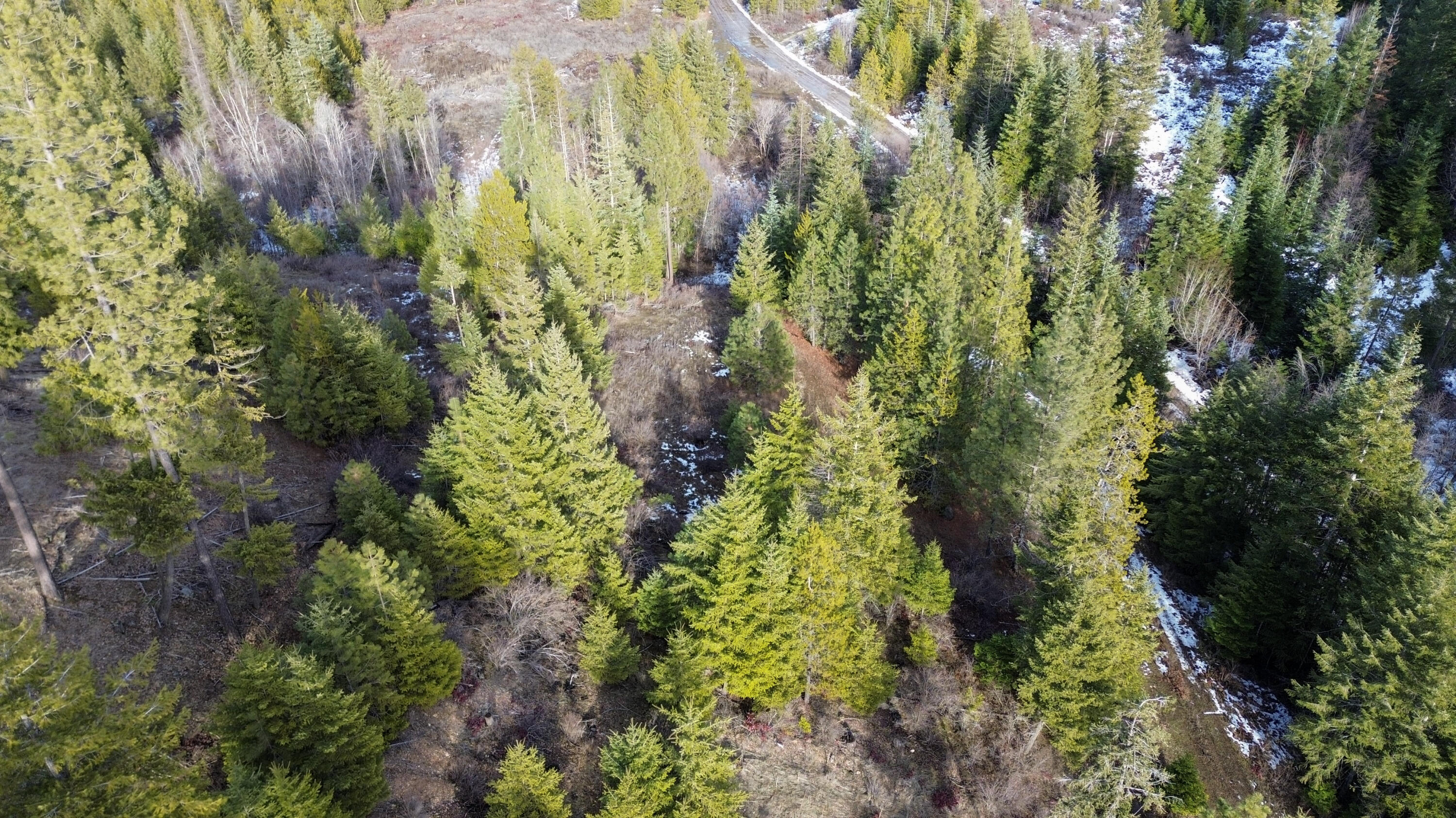 
                        Property photograph at
                        35XX HARMS WAY
                      