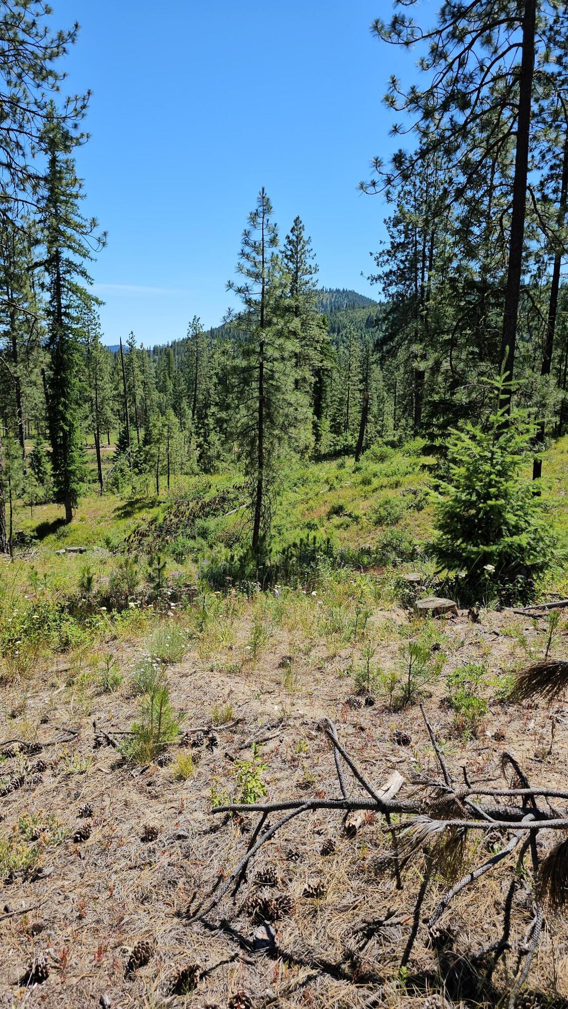 
                        Property photograph at
                        20X LYNX CREEK RD
                      