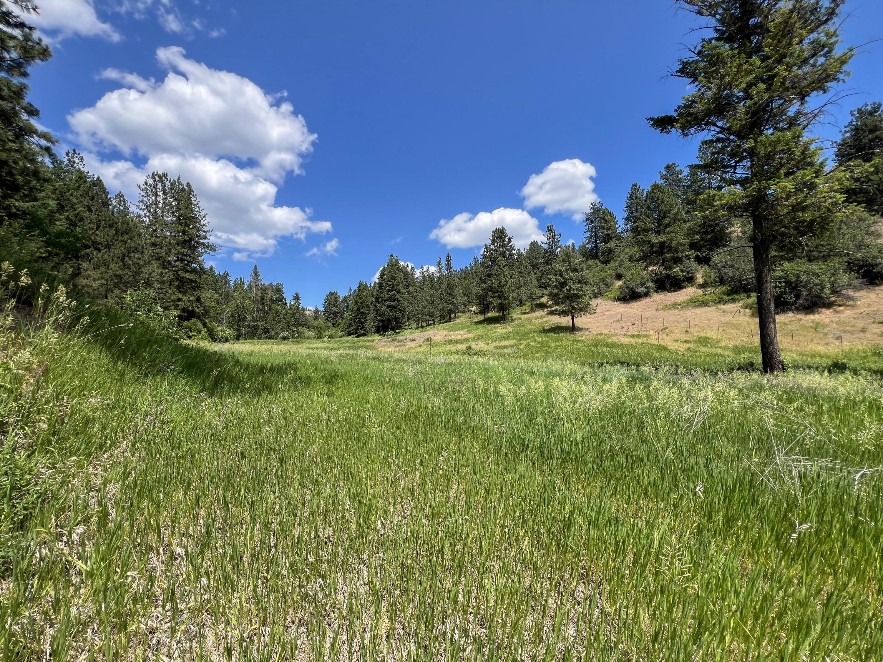 
                        Property photograph at
                        598 N HWY 395
                      
