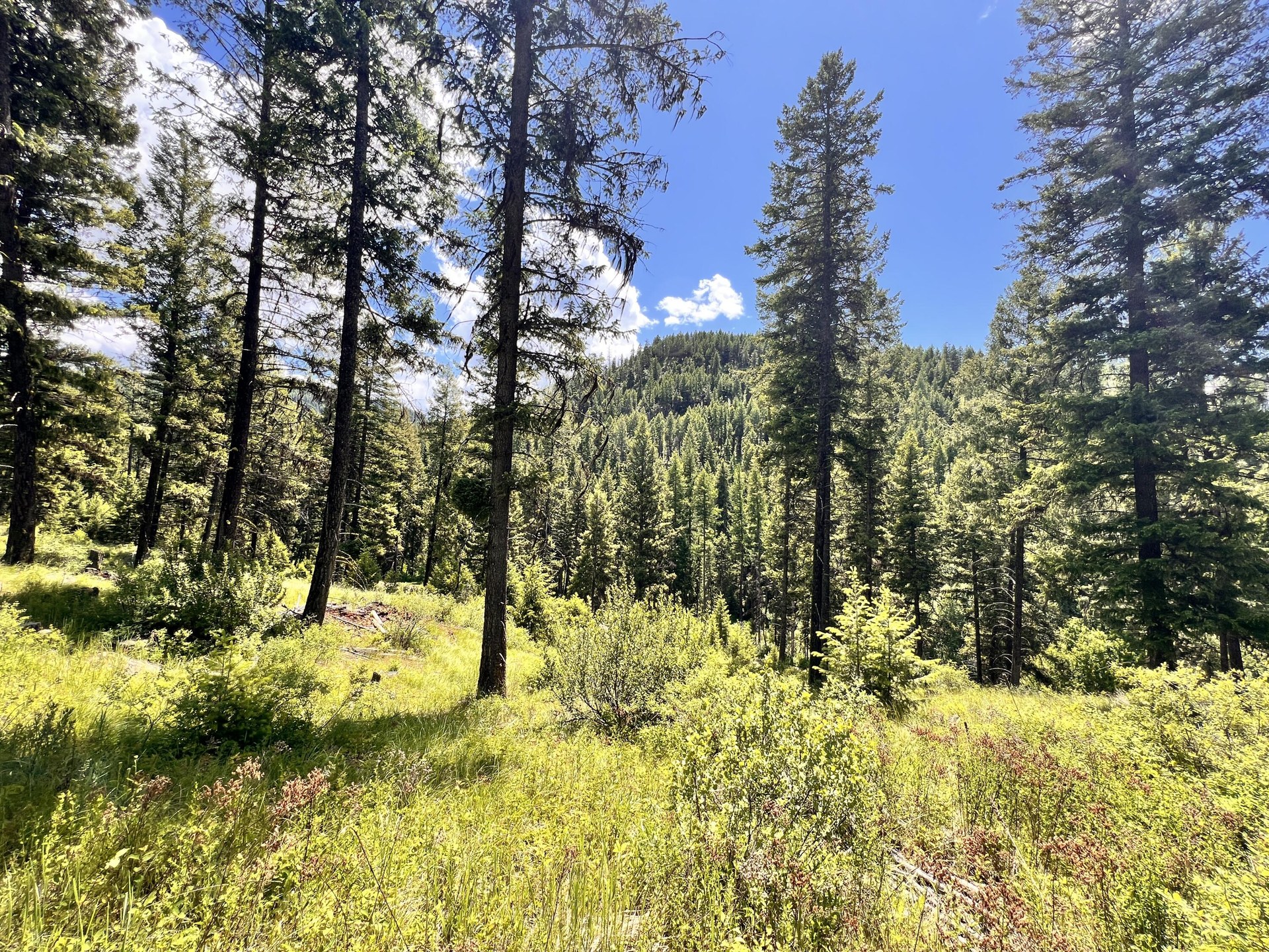 
                        Property photograph at
                        TBD OLD KETTLE FALLS RD
                      