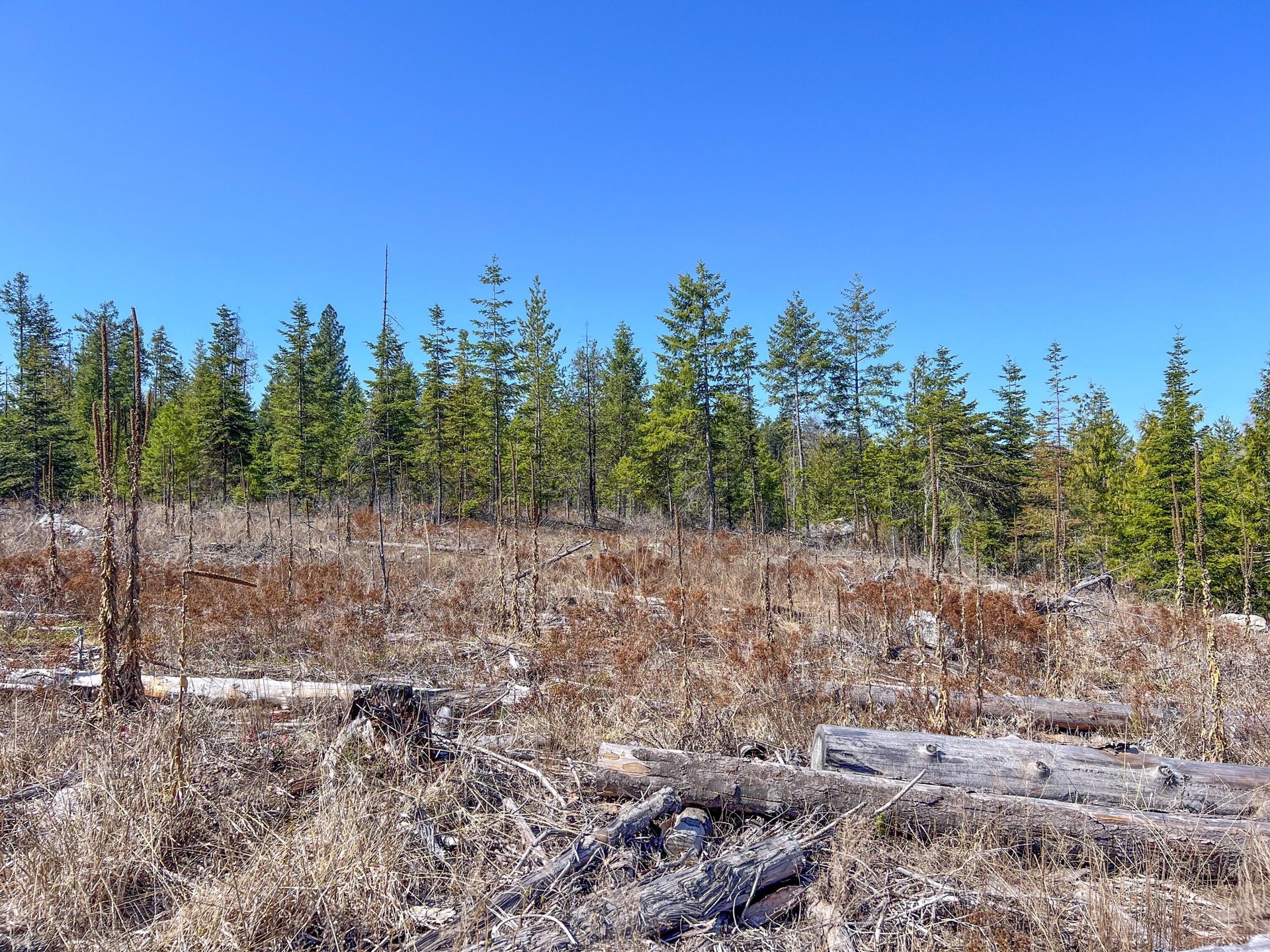 
                        Property photograph at
                        26XX FLOWERY TRAIL RD
                      