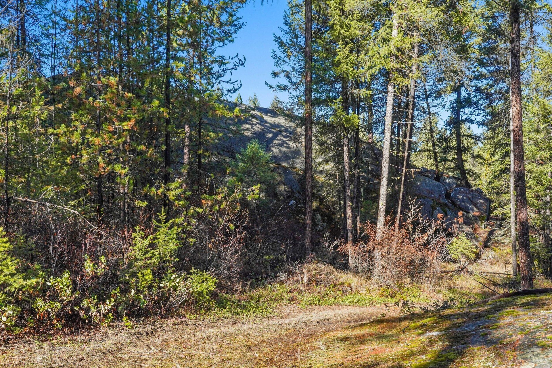 
                        Property photograph at
                        2094 CLUGSTON ONION CREEK RD
                      