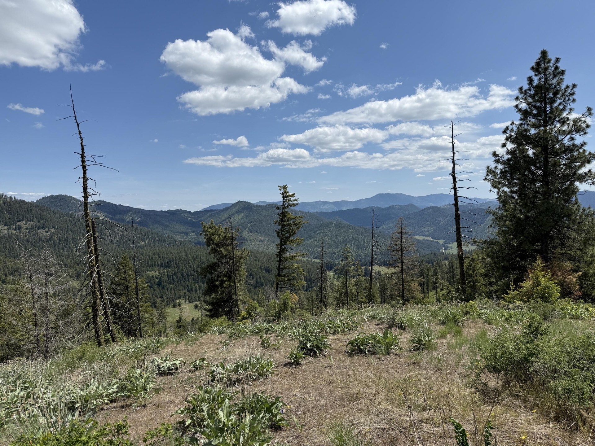 
                        Property photograph at
                        3774-C DAISY MINE RD
                      