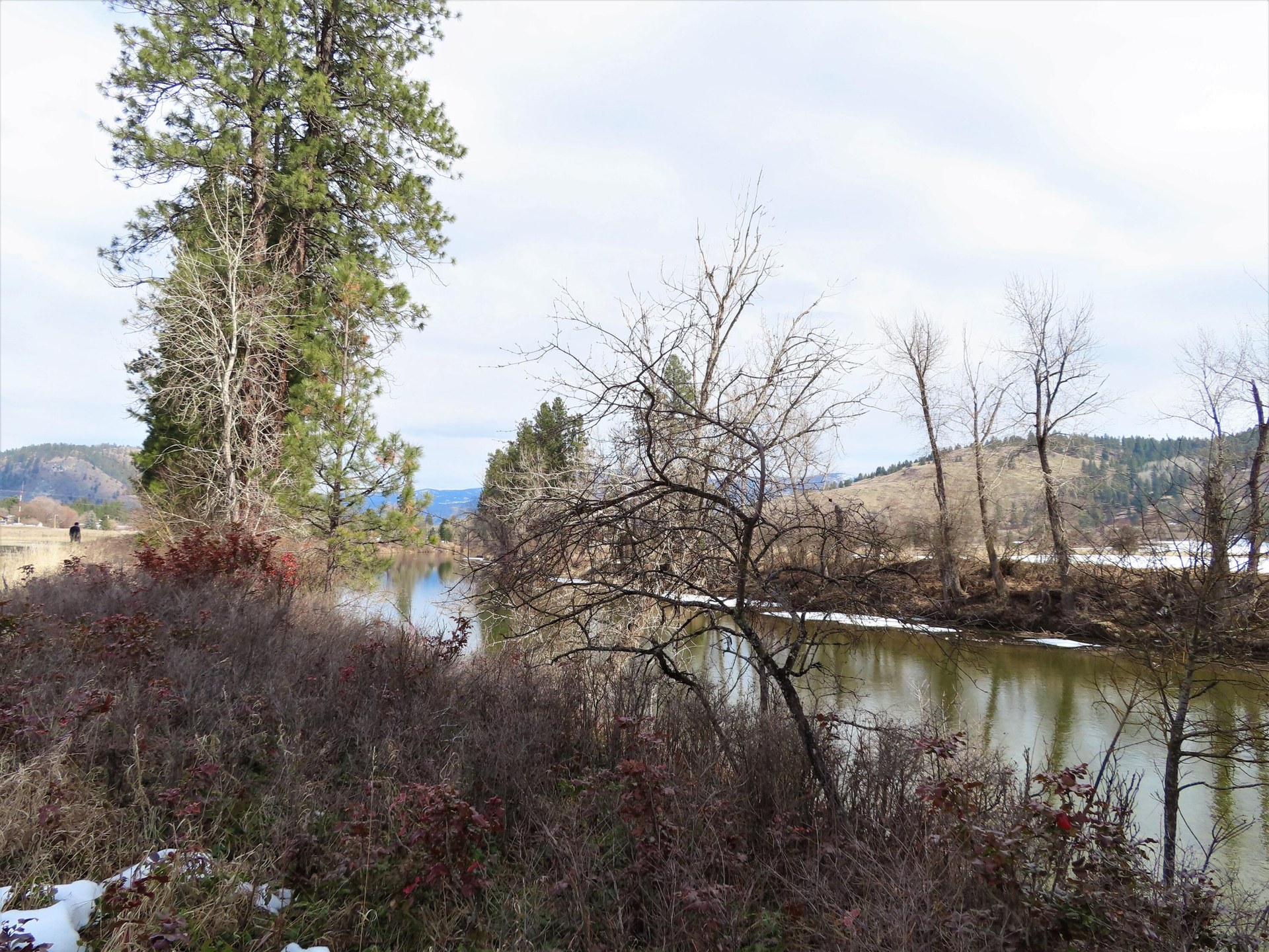 
                        Property photograph at
                        TBD HIGHWAY 21 N
                      