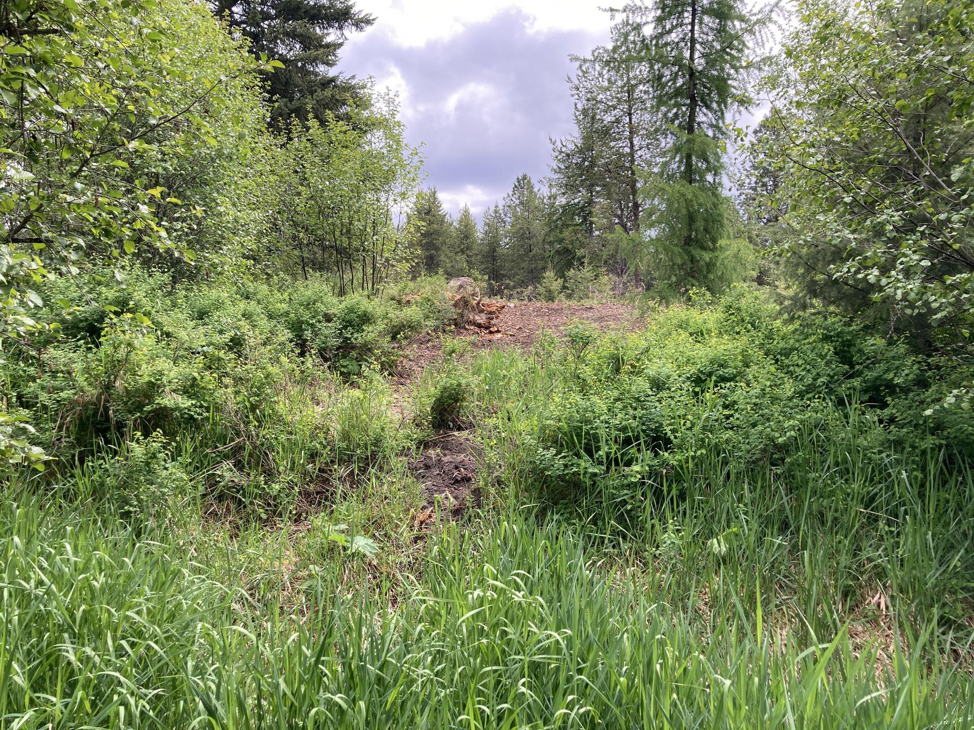 
                        Property photograph at
                        1496 E HWY 20 XX
                      