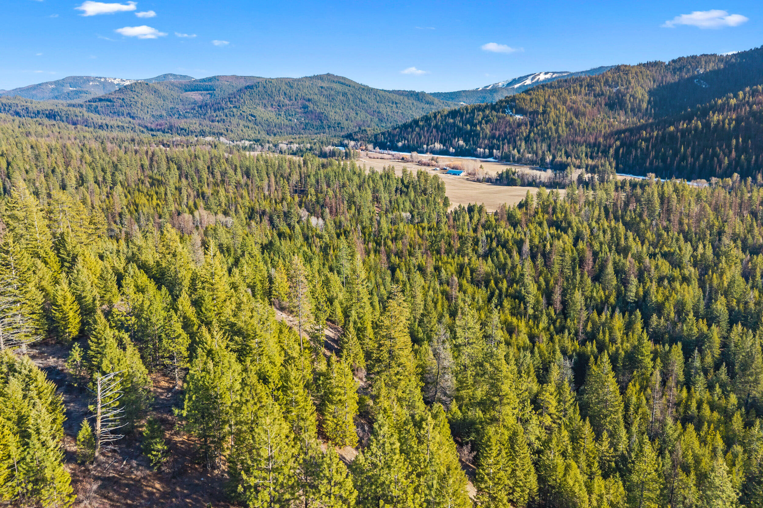 
                        Property photograph at
                        28XX BURNT VALLEY (80AC) RD
                      