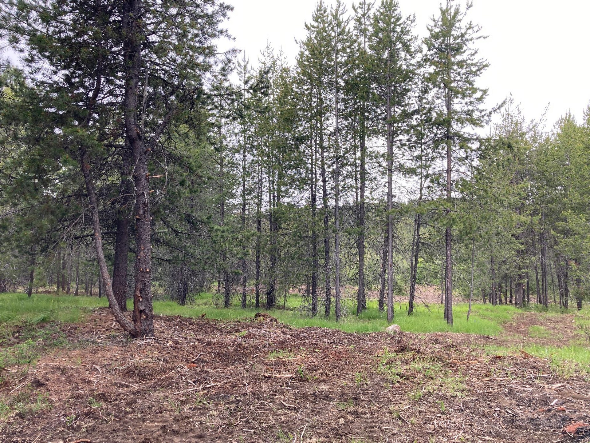 
                        Property photograph at
                        1496 E HWY 20 XX
                      
