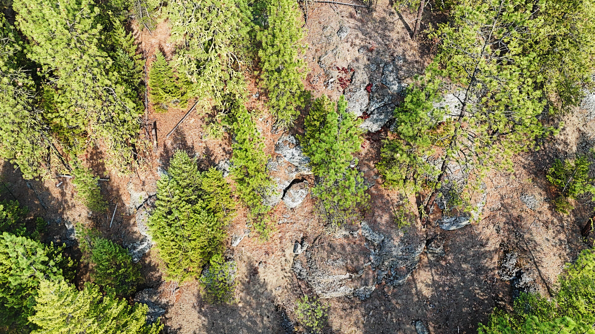 
                        Property photograph at
                        1631Q BONANZA HILL RD N
                      